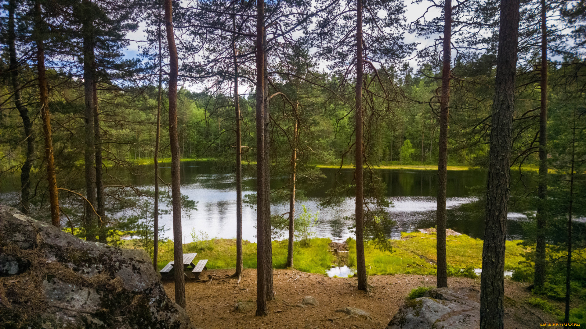 природа, реки, озера, лес, река