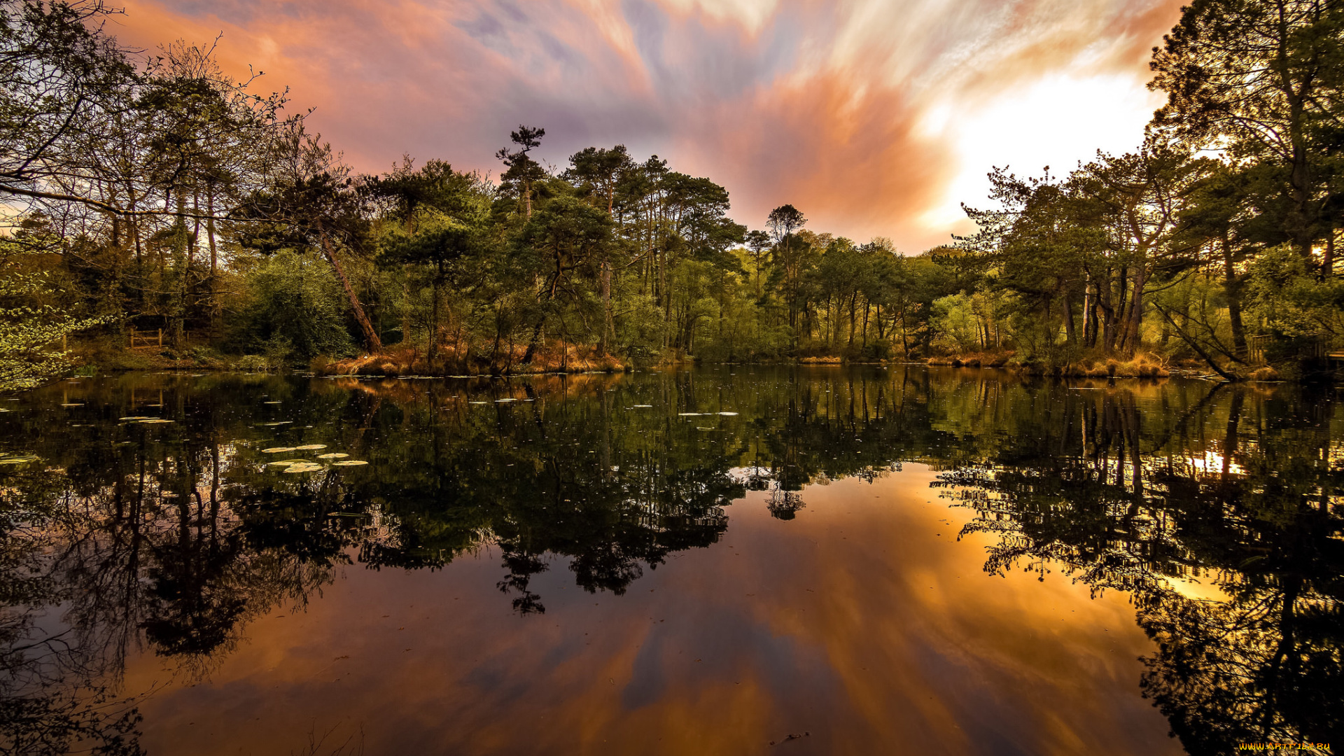 природа, реки, озера, лес, река