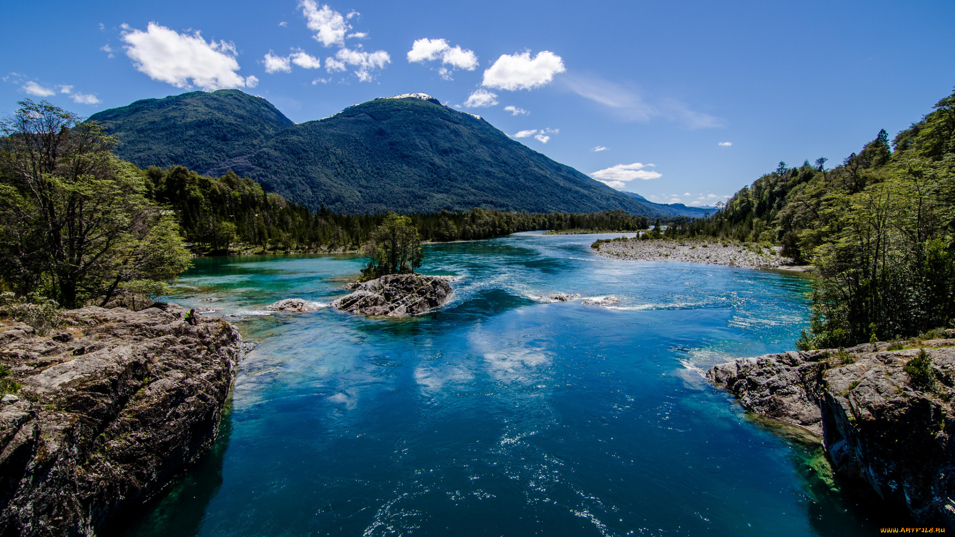 природа, реки, озера, лес, река