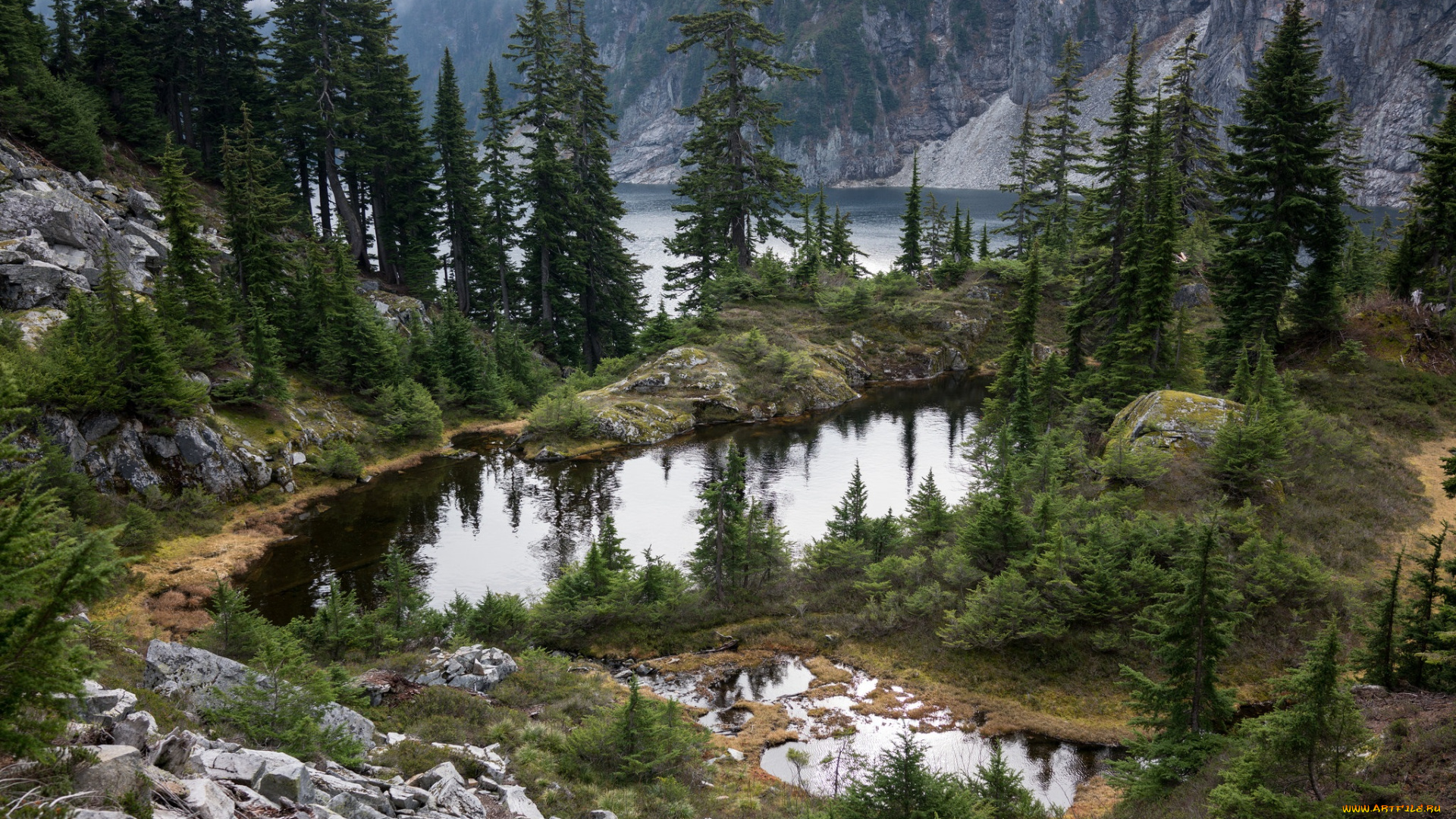 природа, реки, озера, лес, река