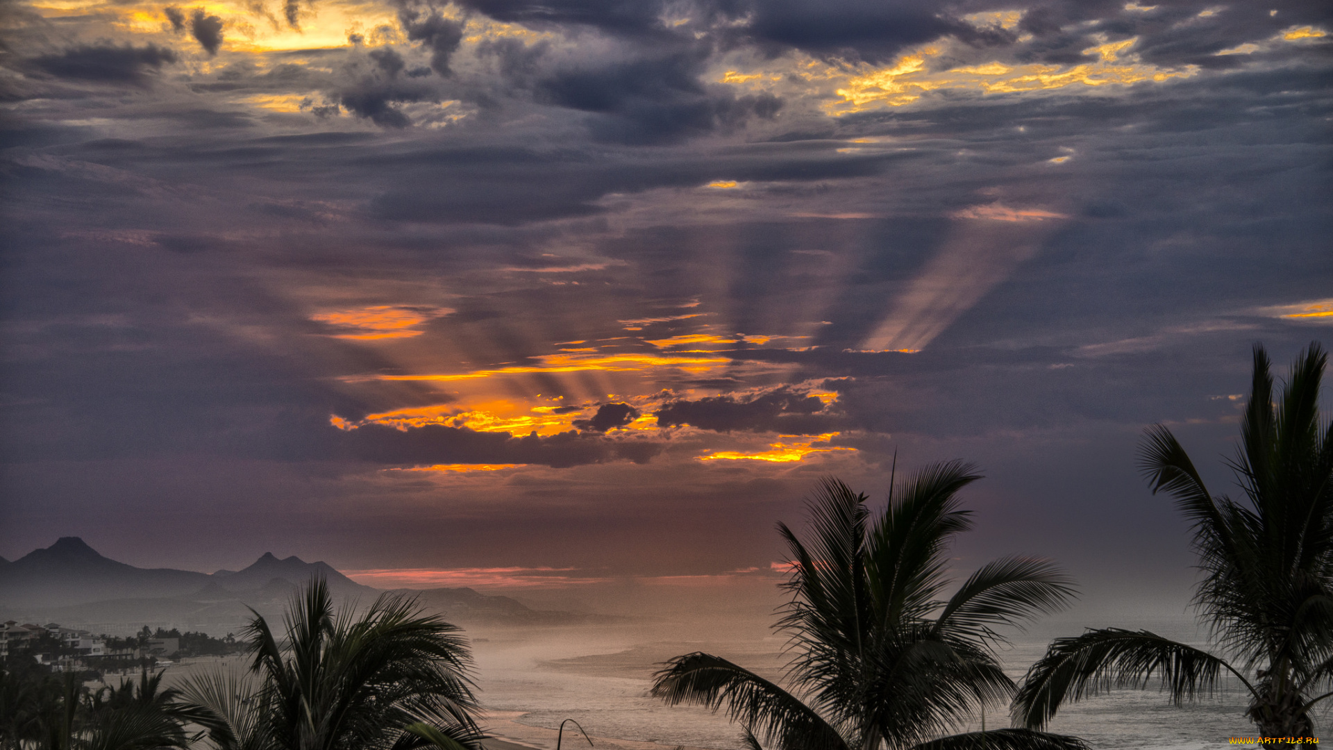 природа, тропики, курорт