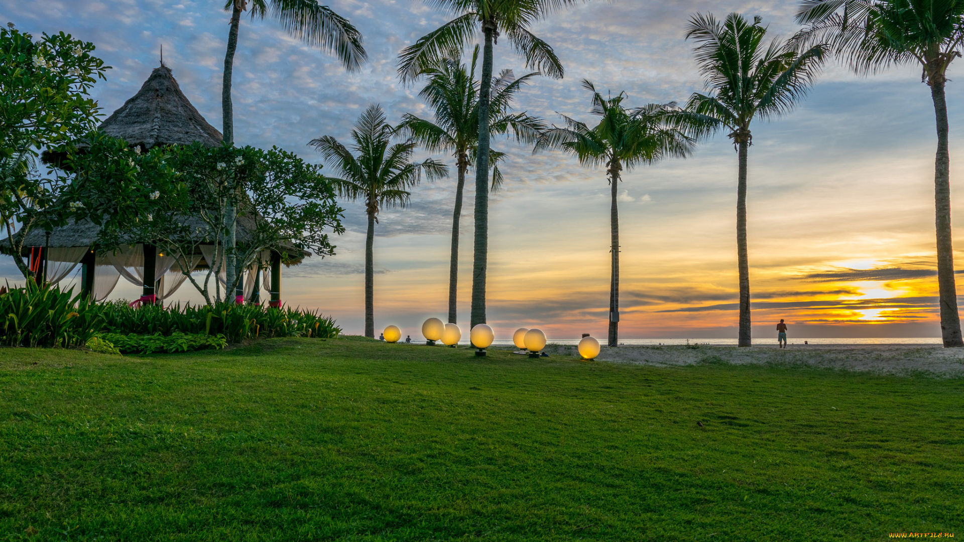 природа, тропики, курорт