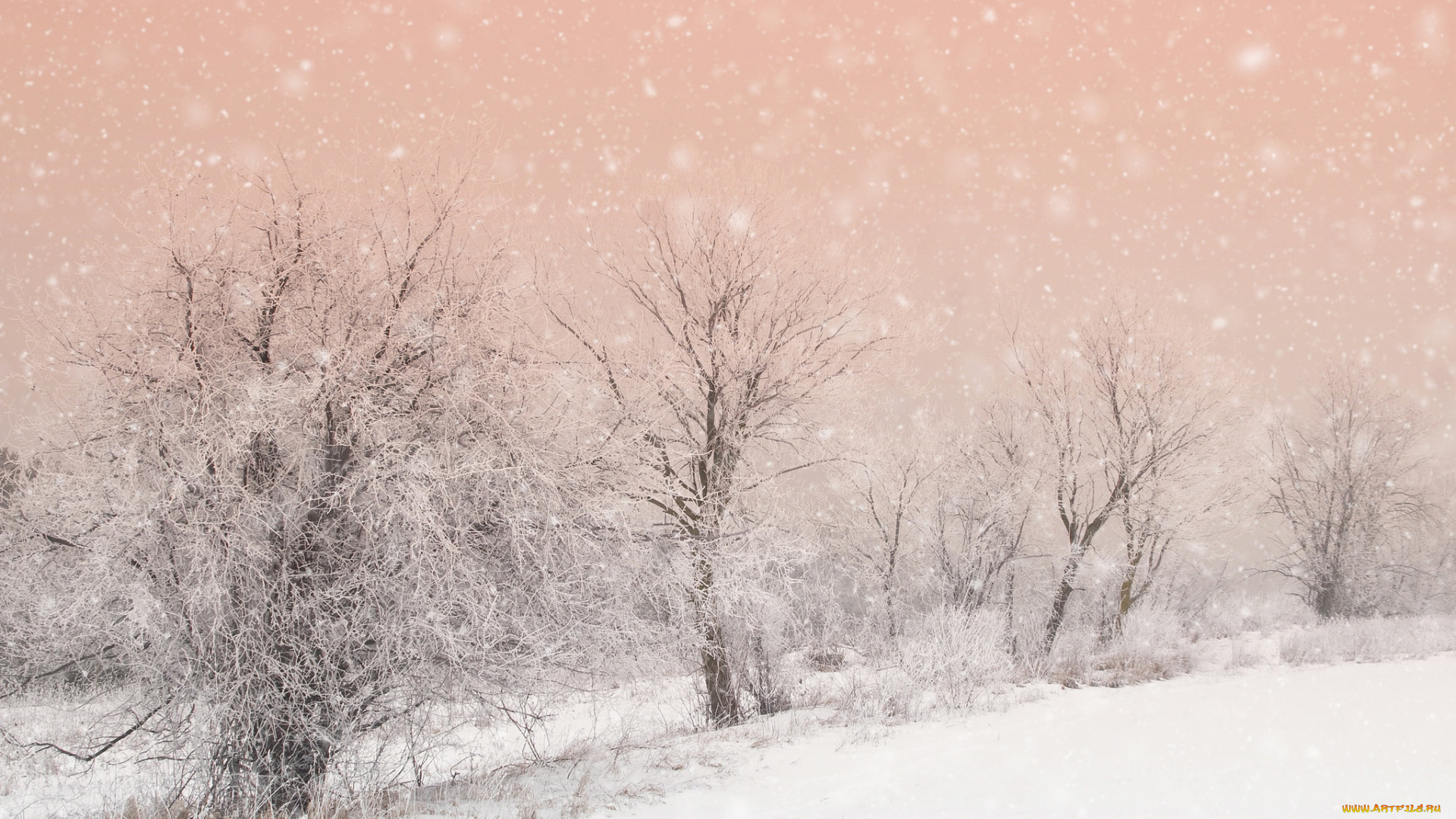 природа, зима, деревья, снег