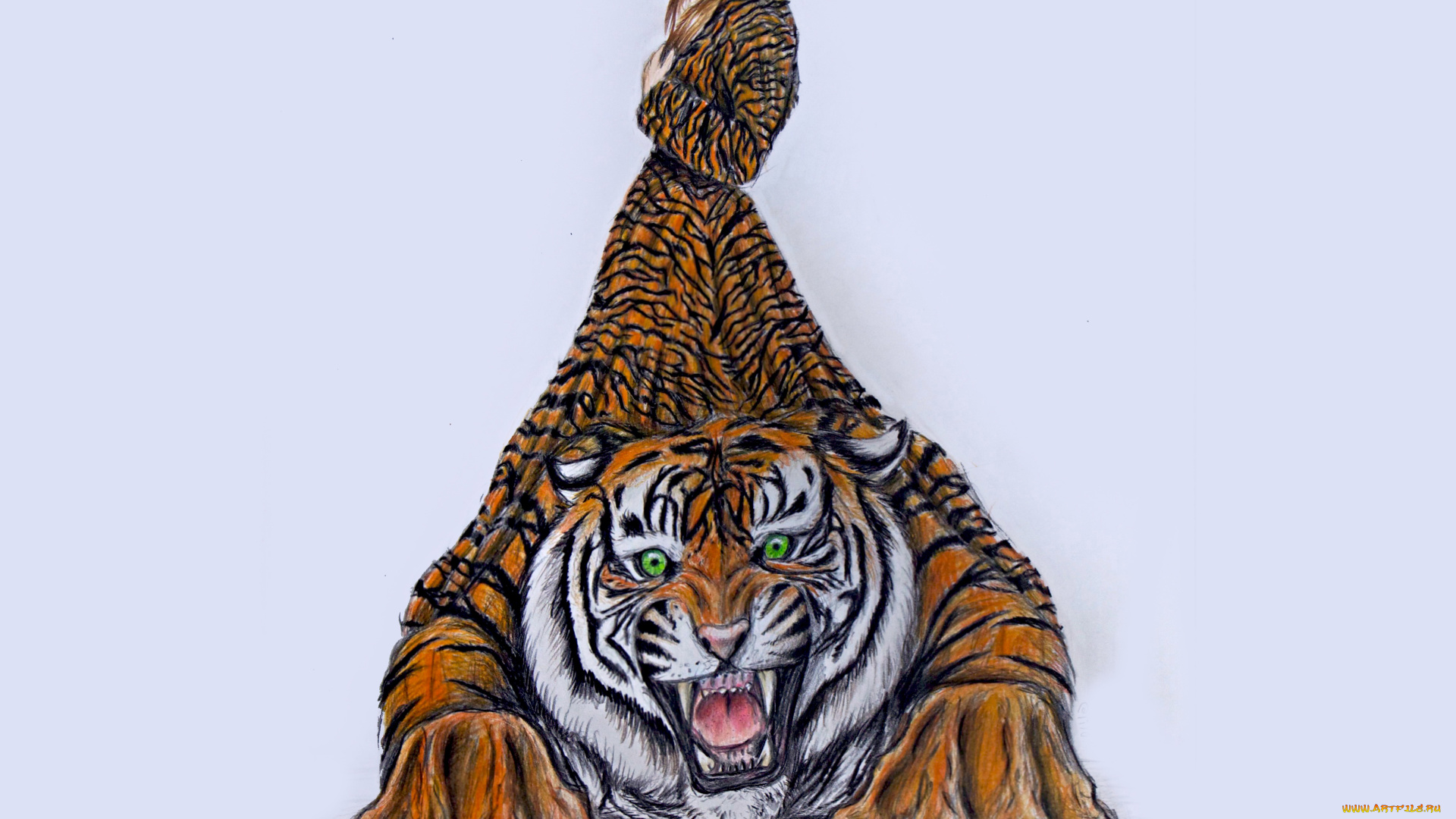 рисованное, комиксы, девушка, фон, тигр, плащ