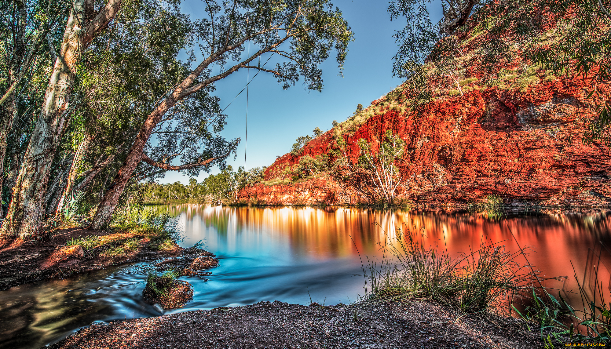 природа, реки, озера, лес, река