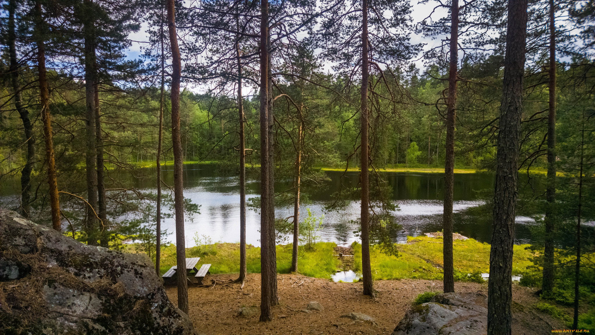 природа, реки, озера, лес, река