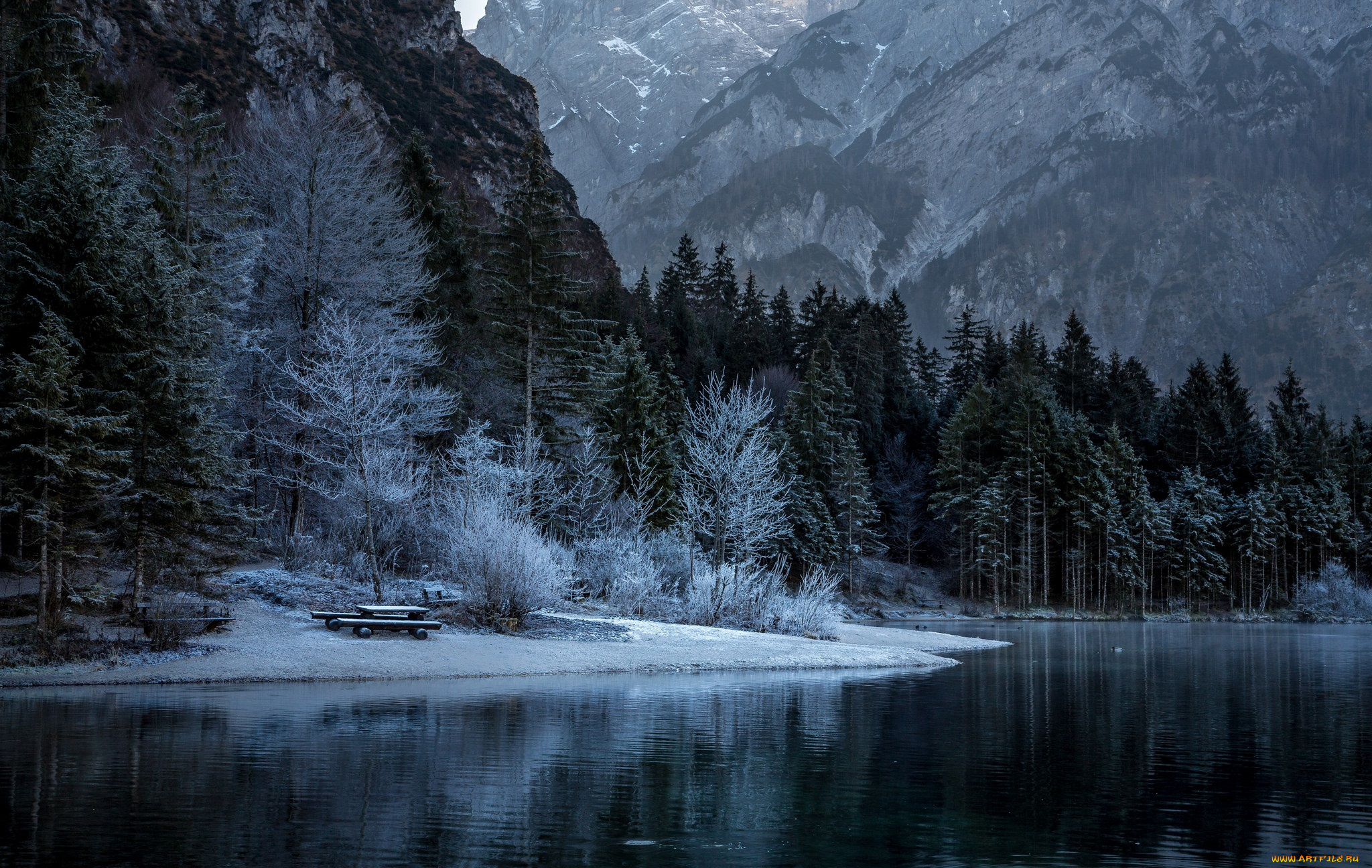 природа, реки, озера, лес, река