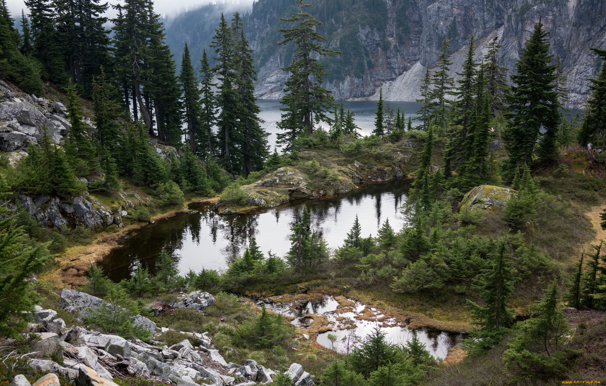 природа, реки, озера, лес, река