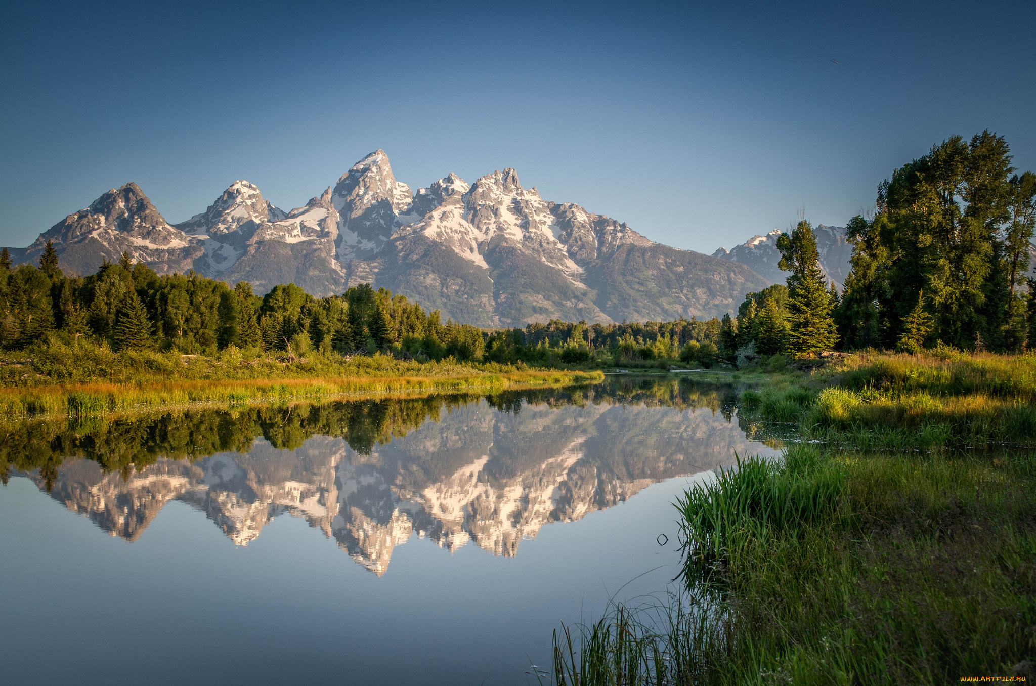 природа, реки, озера, лес, река