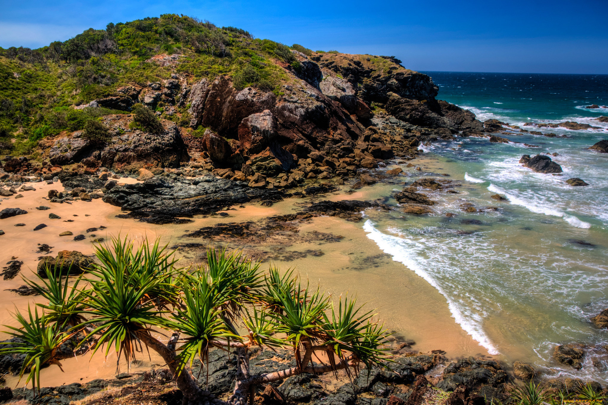 природа, побережье, море, берег