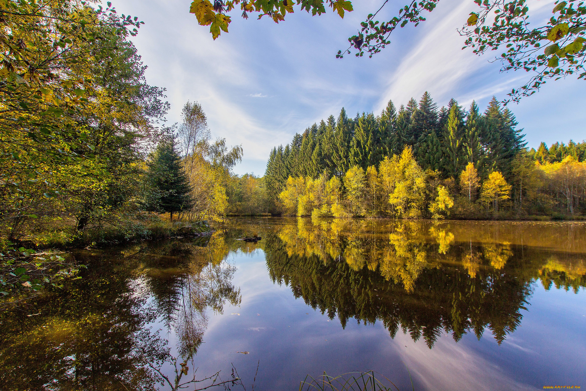 природа, реки, озера, лес, река