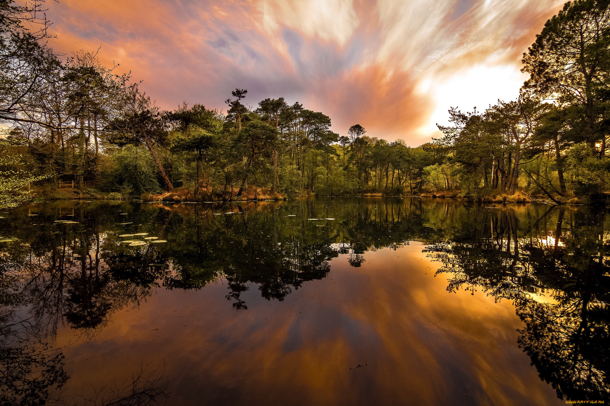 природа, реки, озера, лес, река