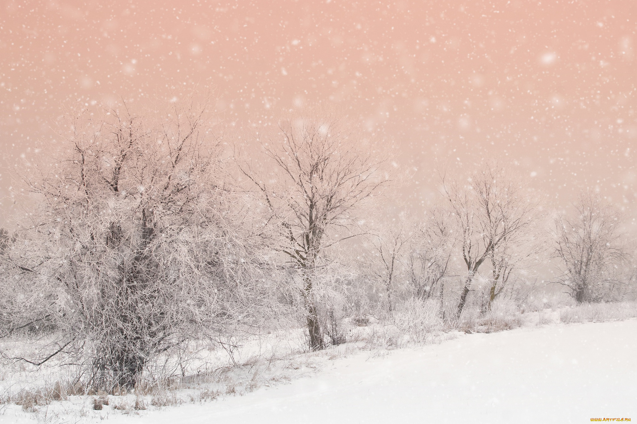 природа, зима, деревья, снег