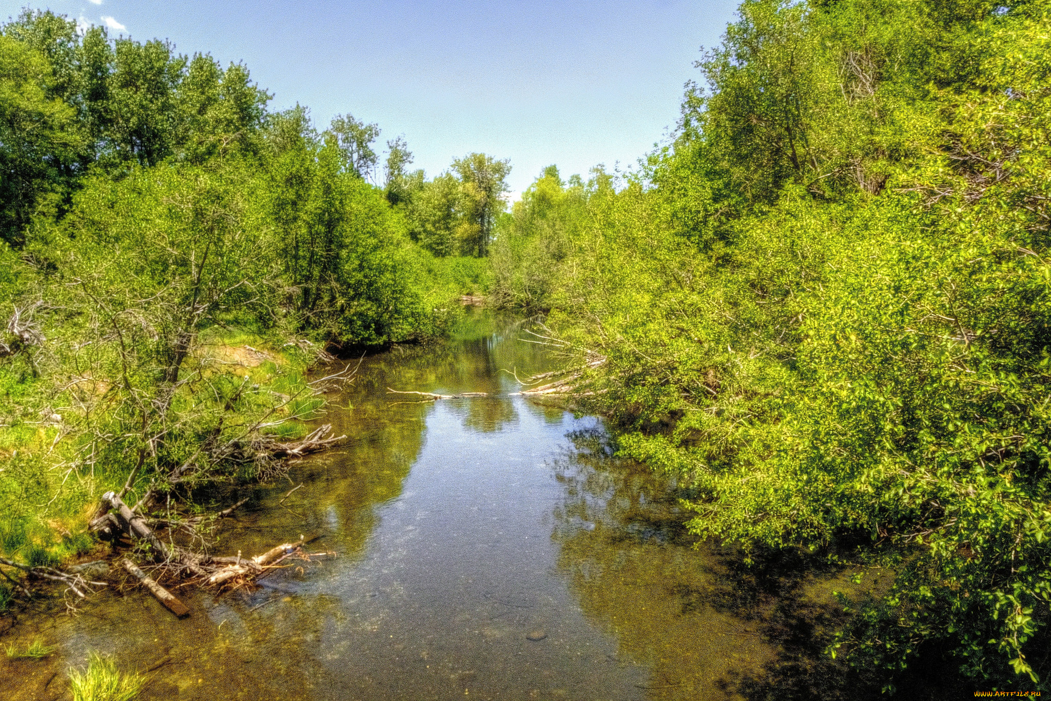природа, реки, озера, лес, река