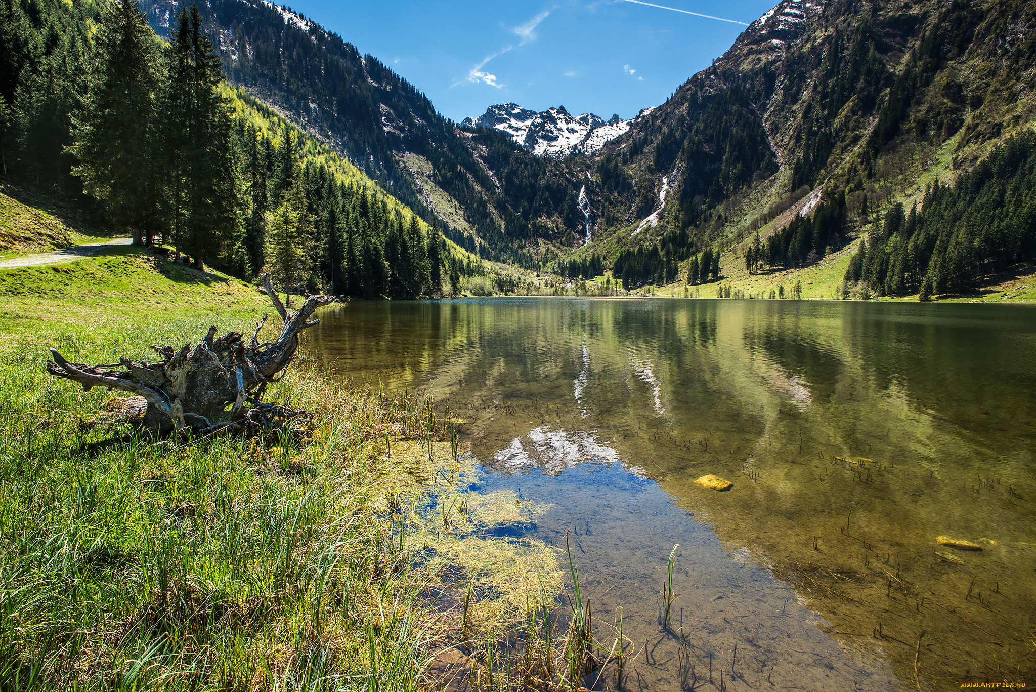 природа, реки, озера, лес, река