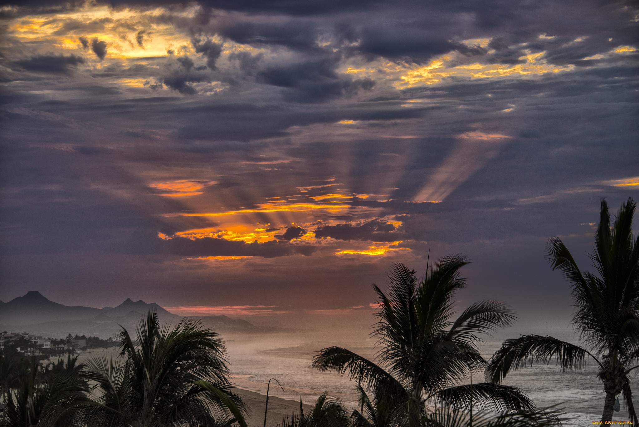 природа, тропики, курорт