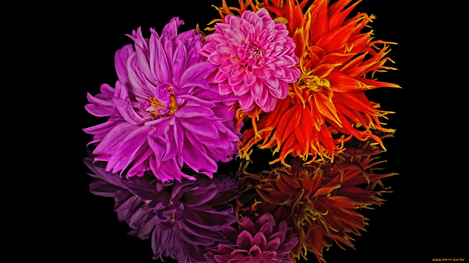 цветы, букеты, , композиции, лепестки, отражение, букет