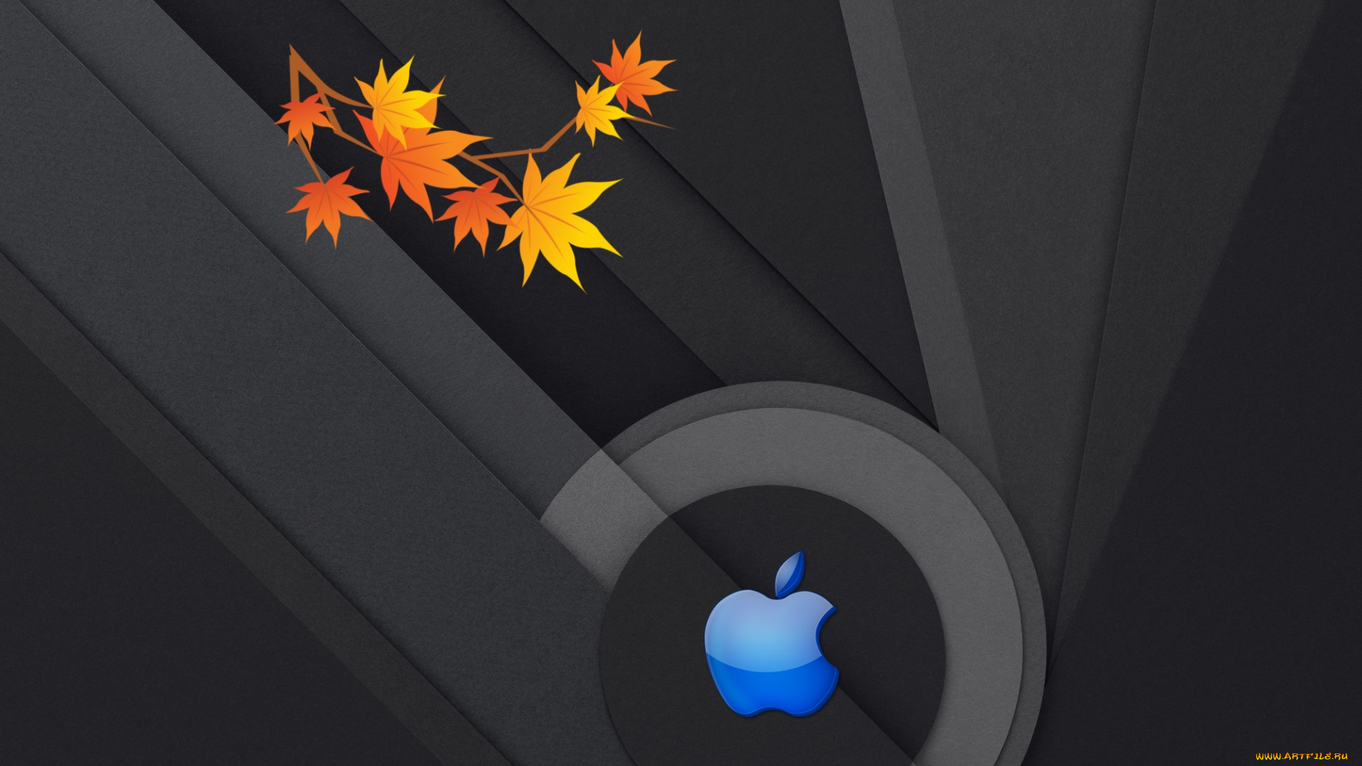 компьютеры, apple, фон, логотип