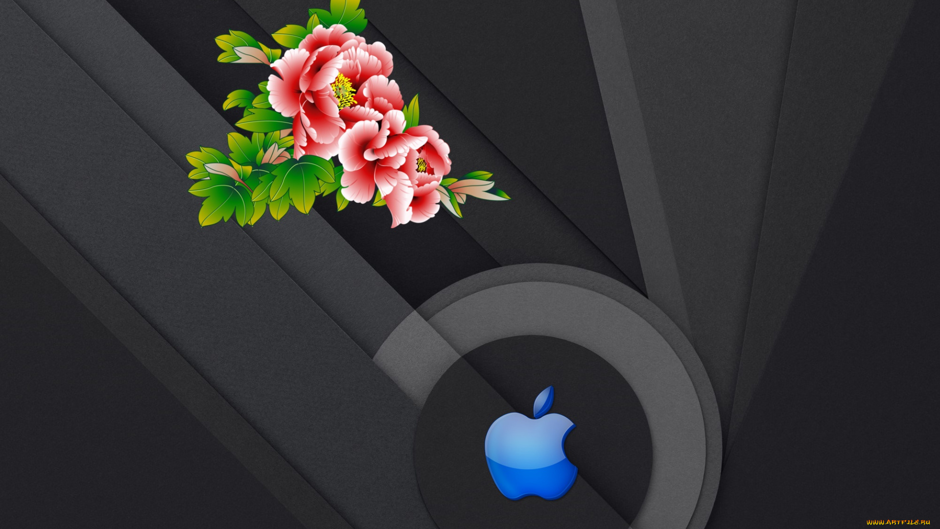 компьютеры, apple, фон, логотип