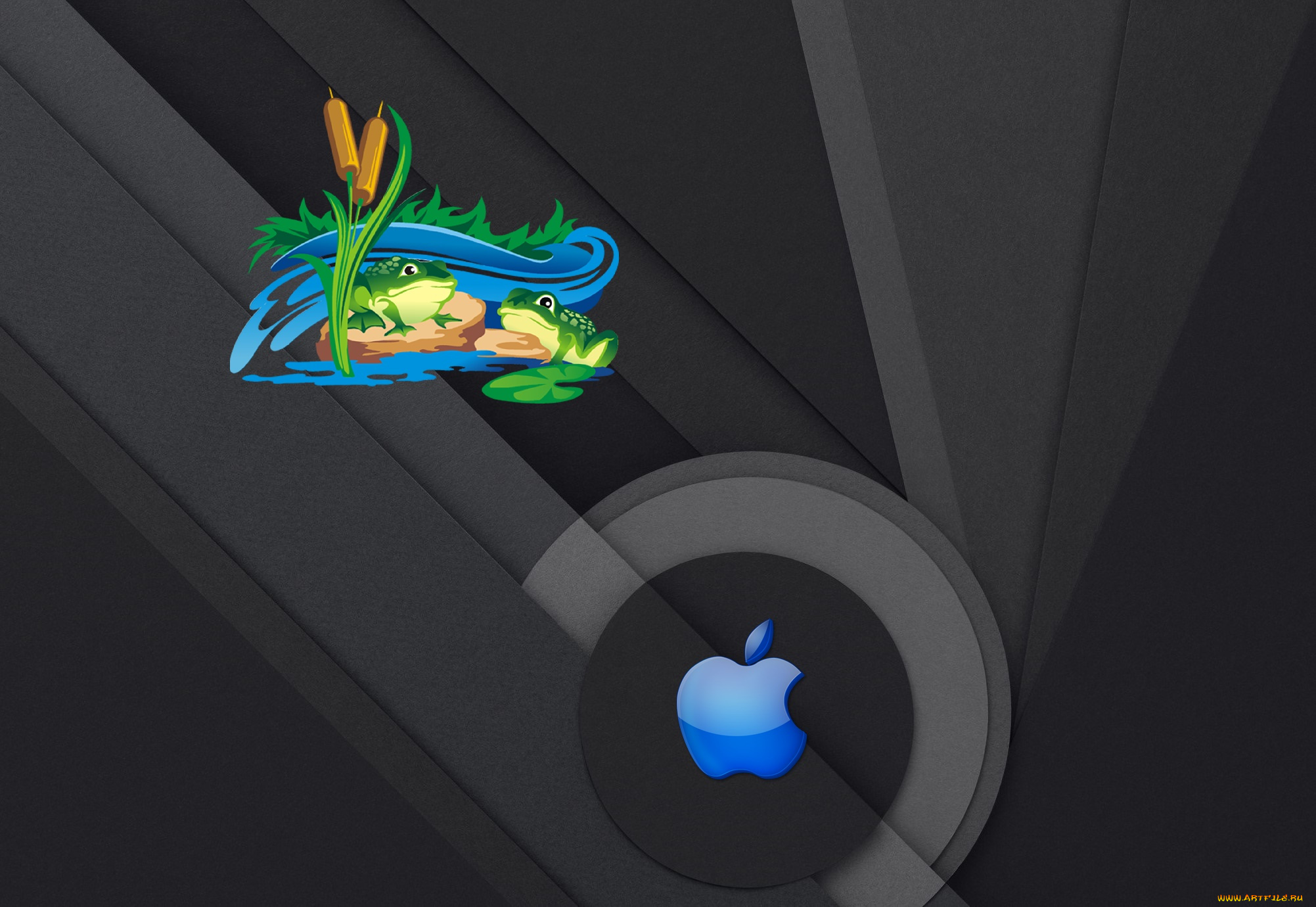 компьютеры, apple, фон, логотип