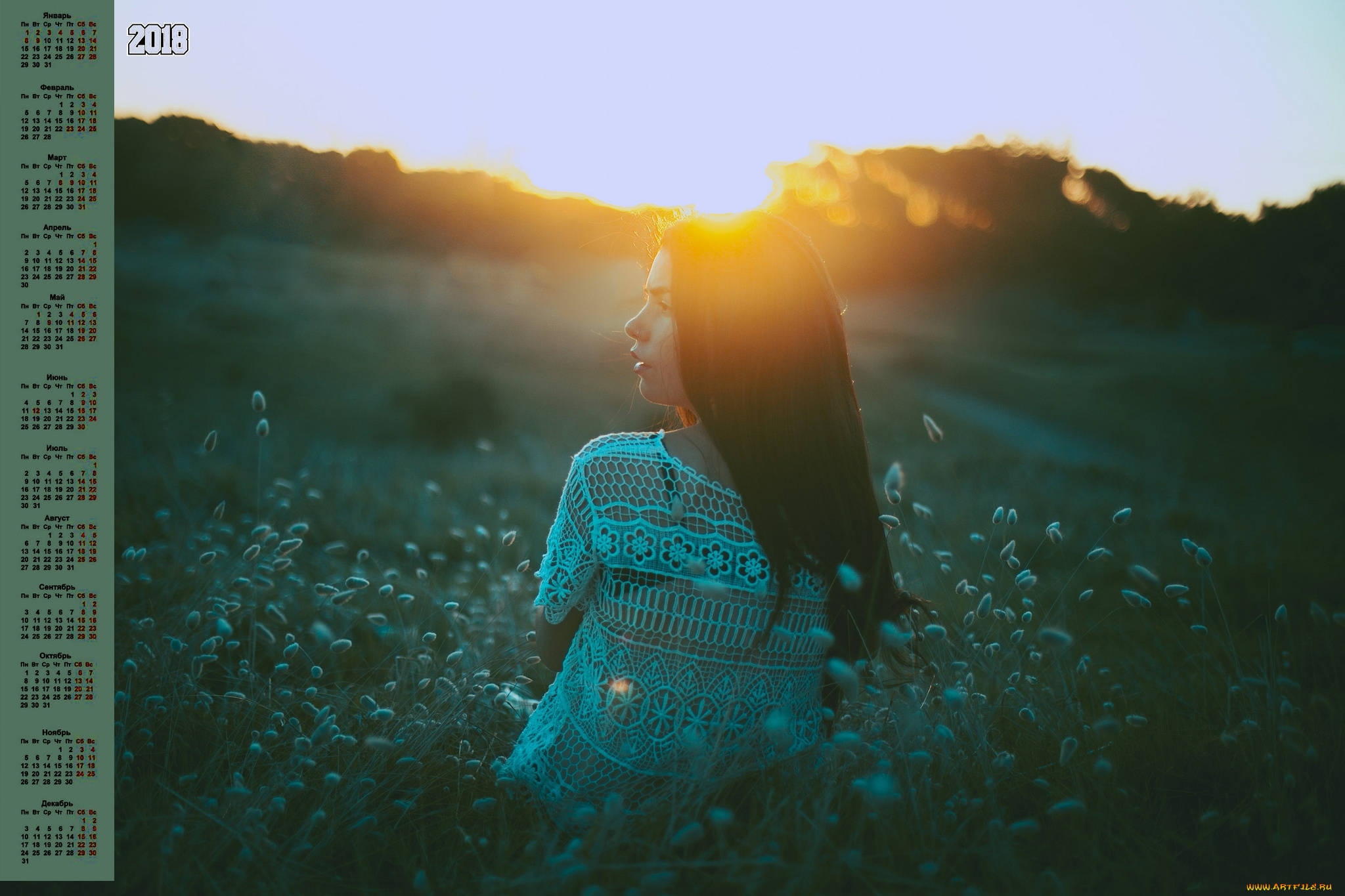 календари, девушки, 2018, закат, растения, профиль