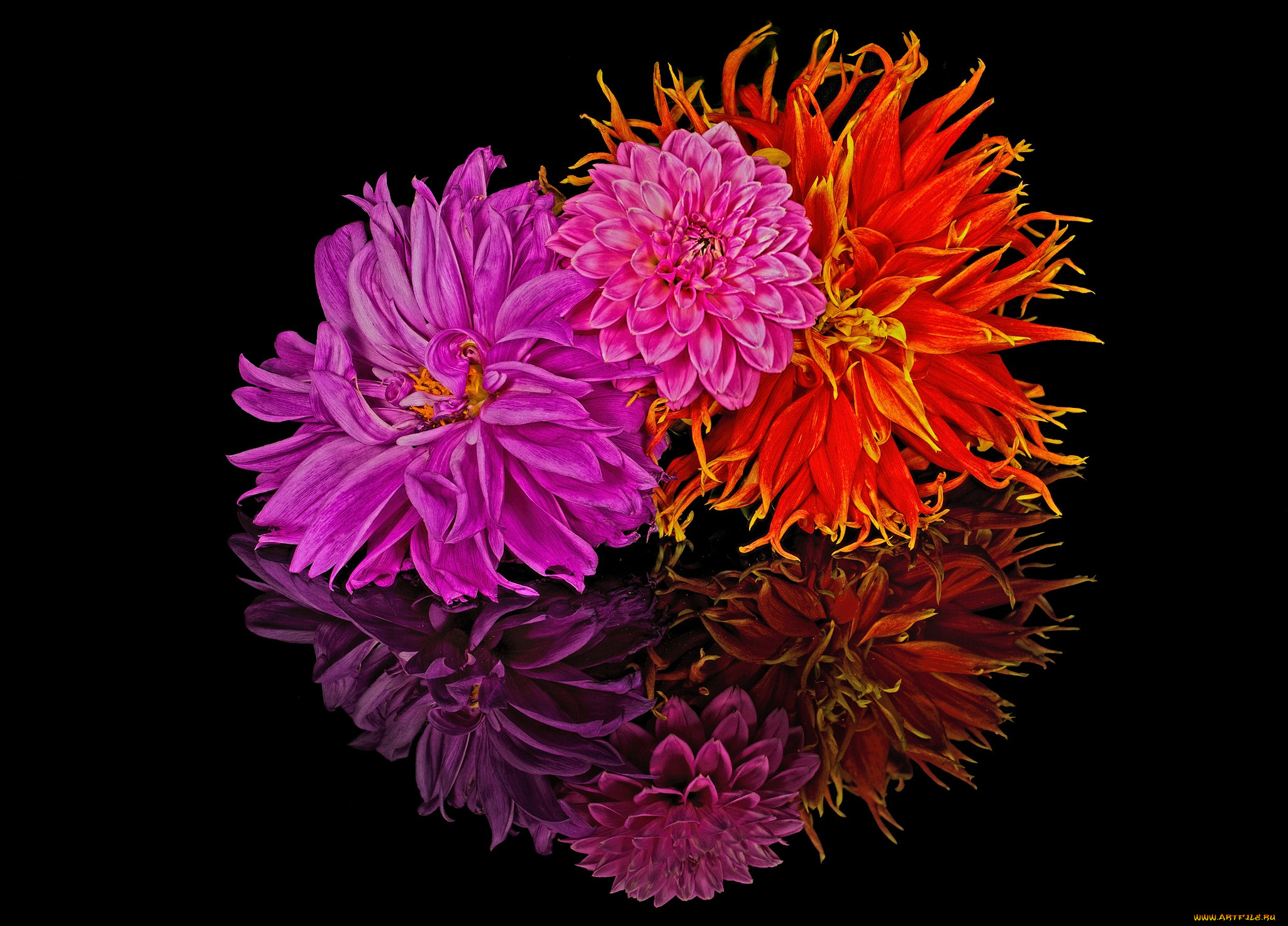 цветы, букеты, , композиции, лепестки, отражение, букет