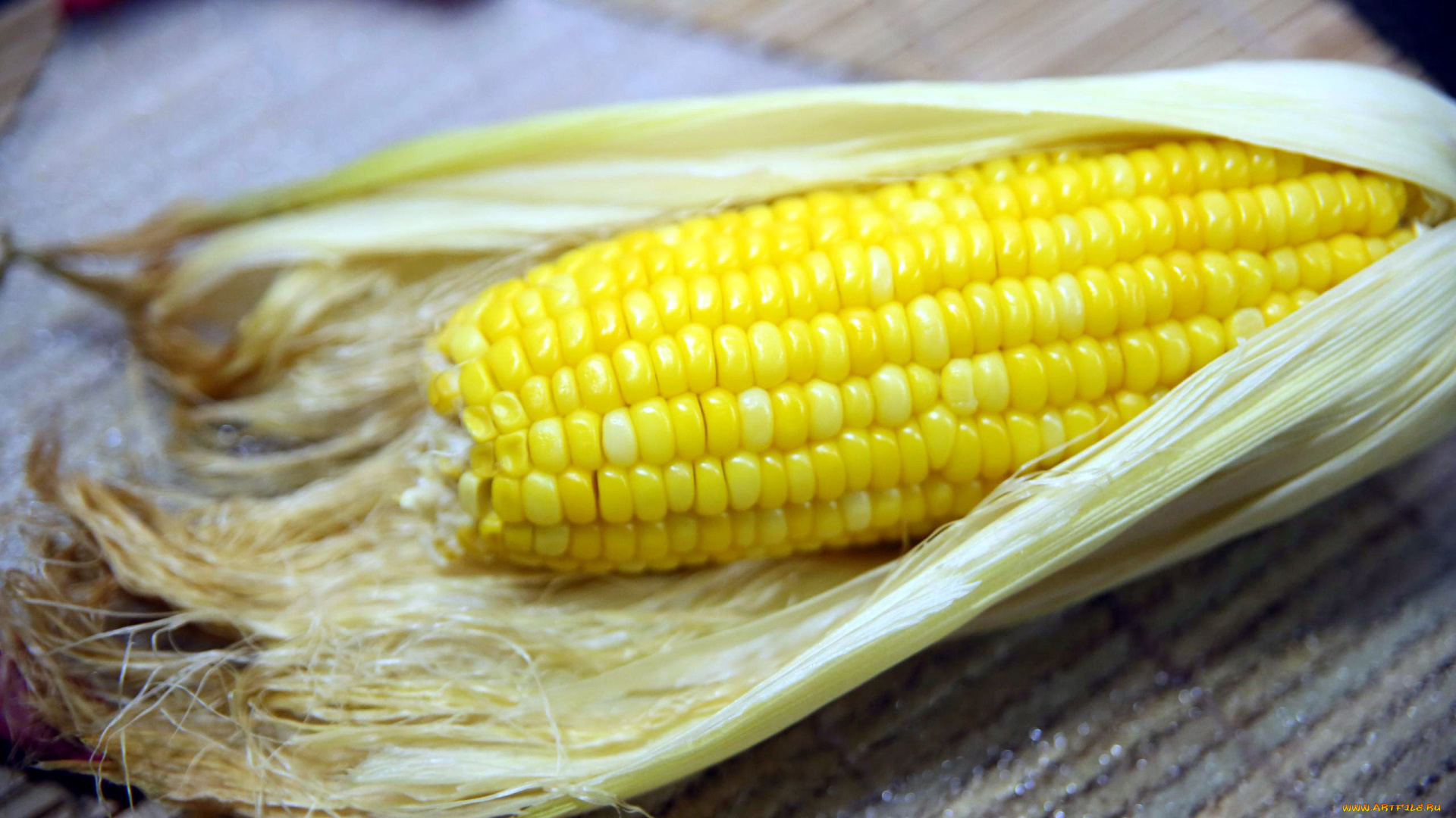 еда, кукуруза, початок