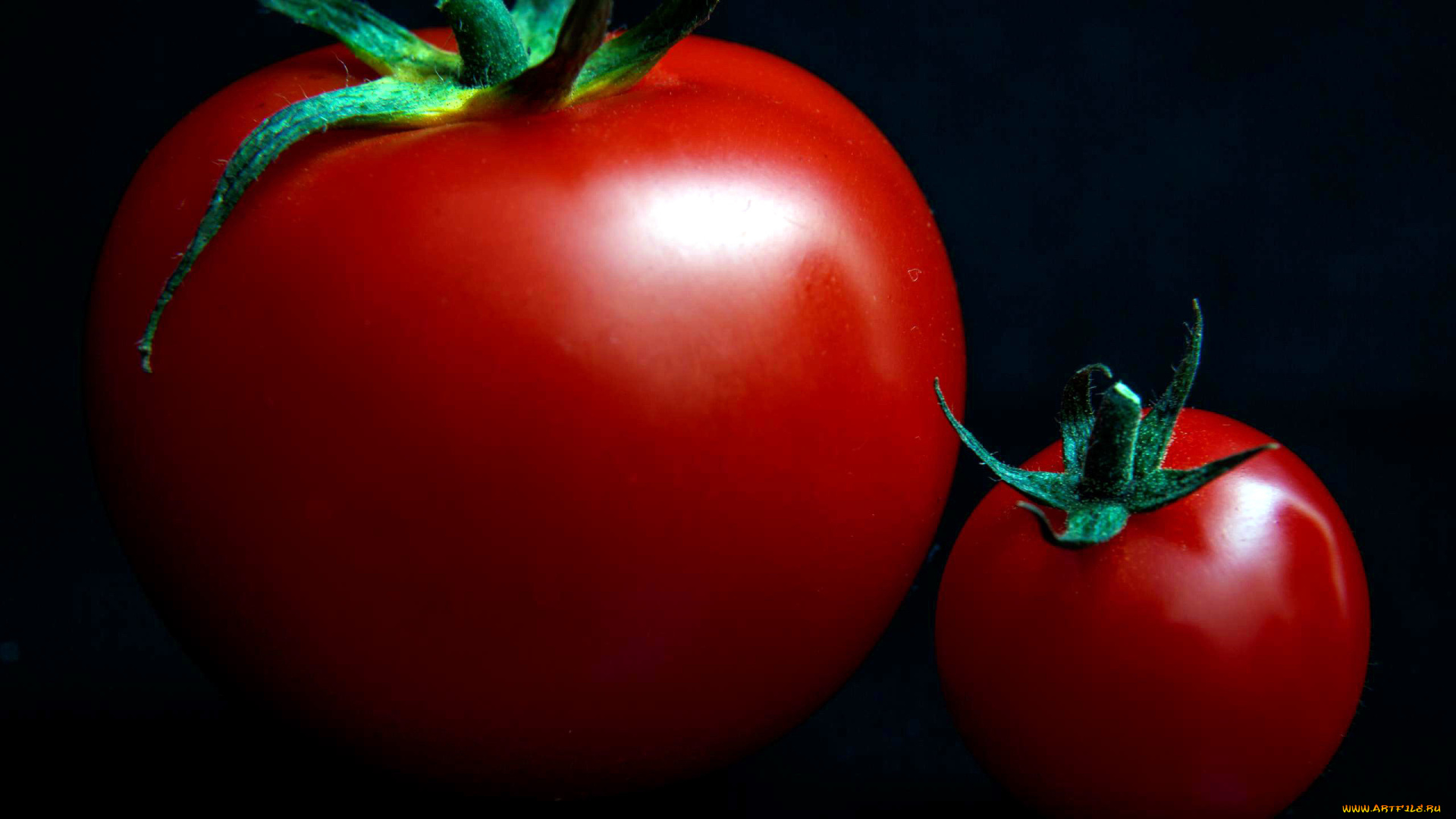 еда, помидоры, томаты