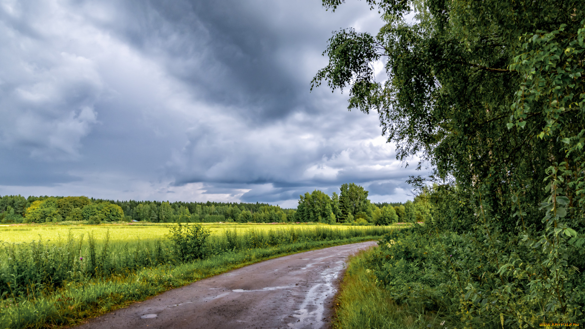 природа, дороги, простор