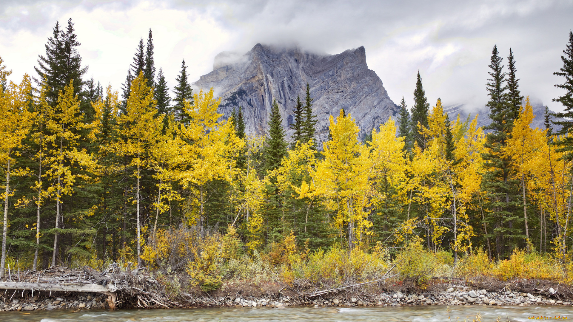 природа, горы, простор