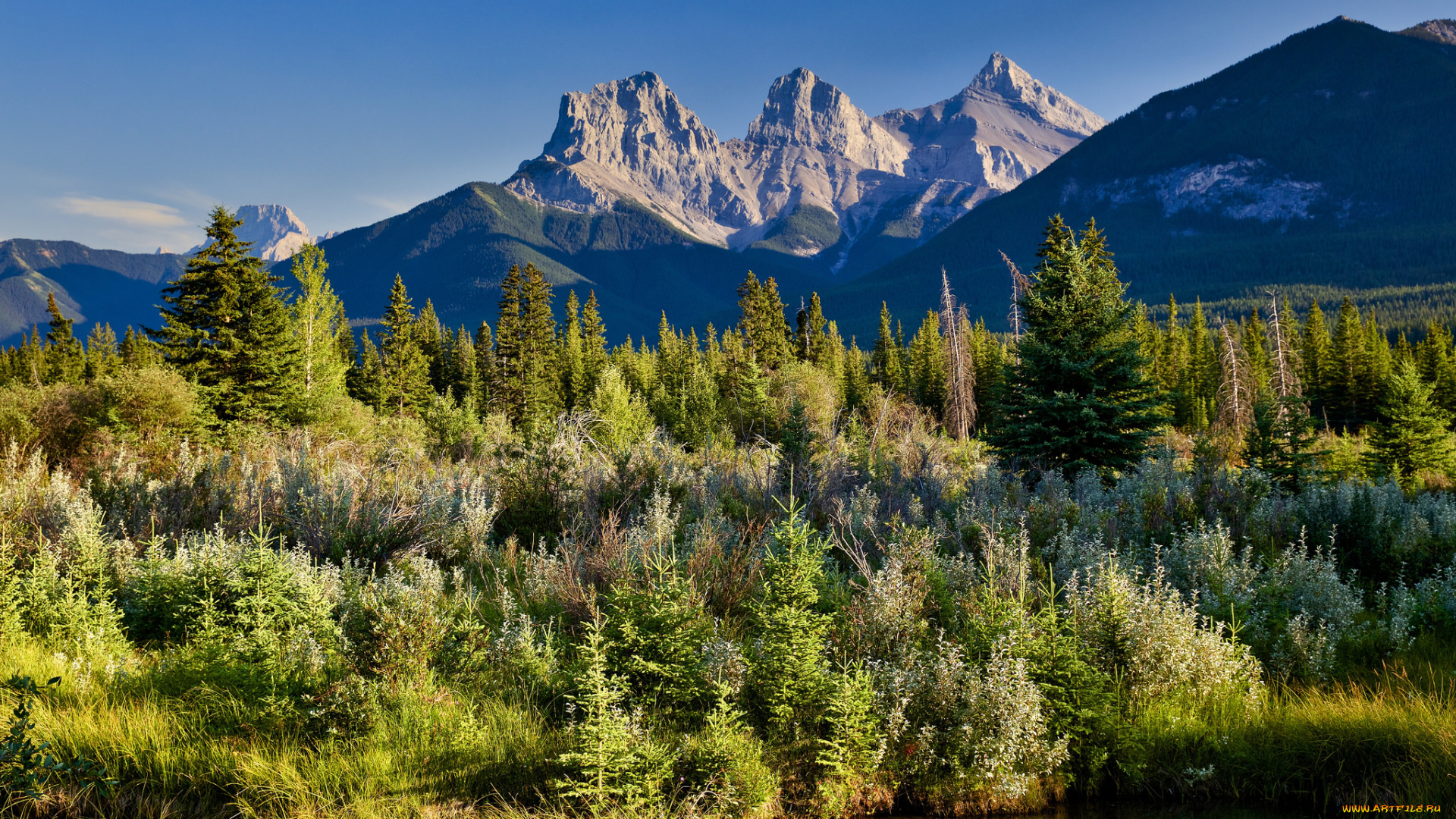 природа, горы, простор