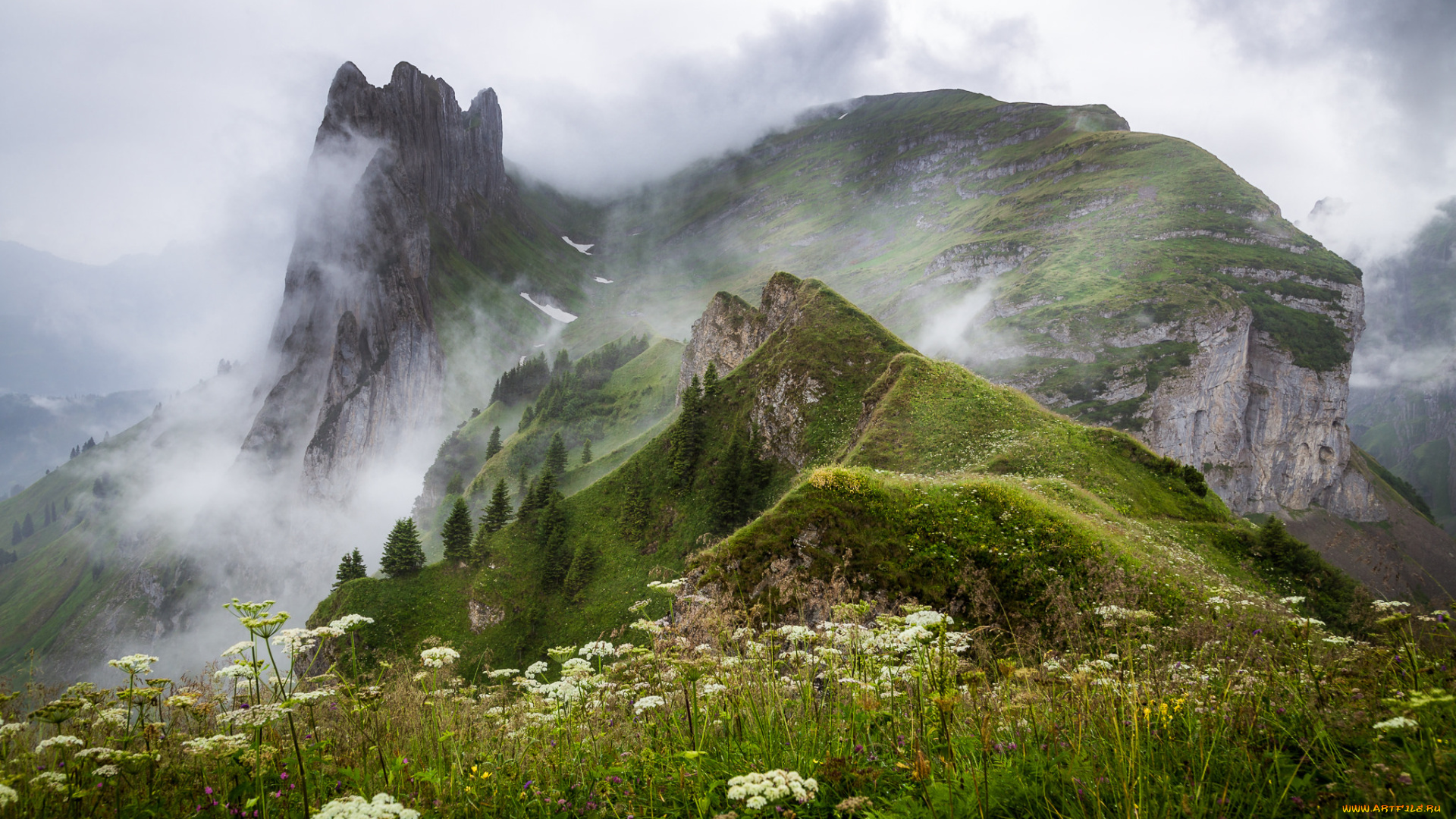 природа, горы, простор