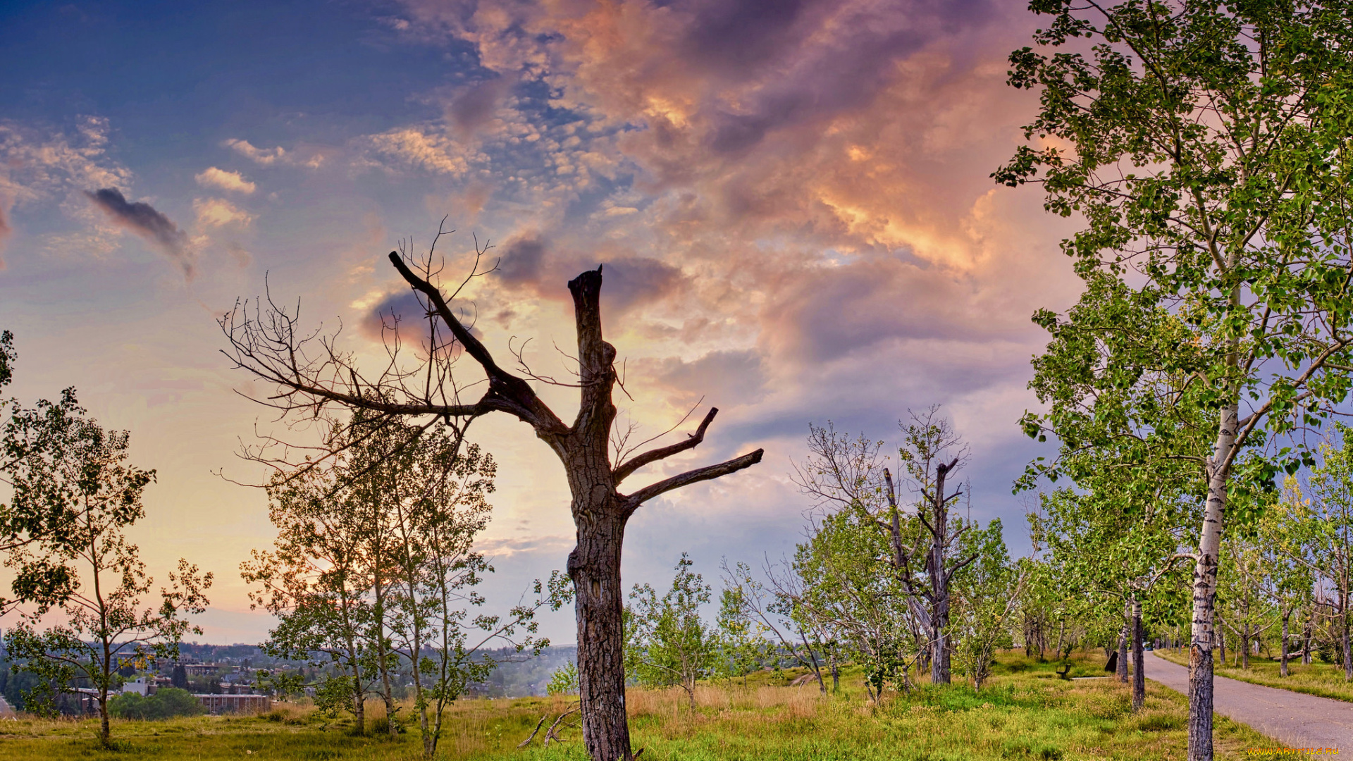 природа, пейзажи, простор