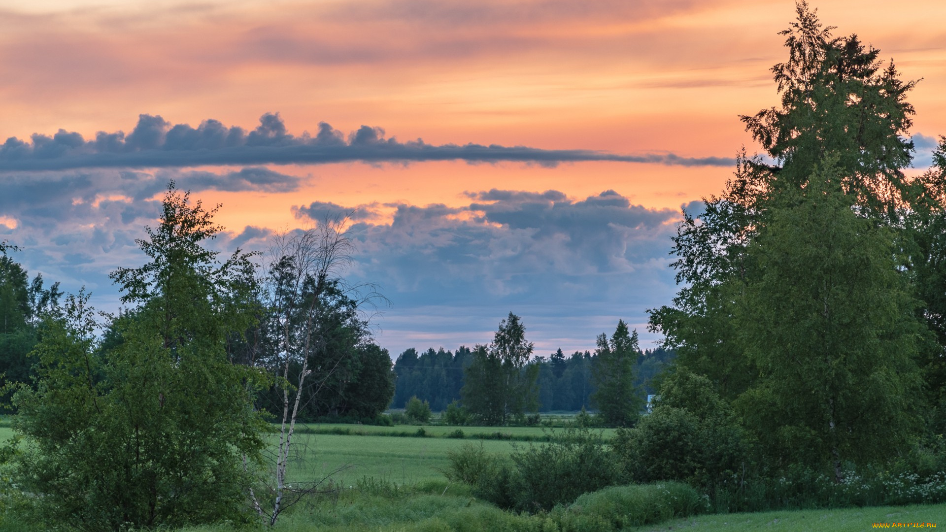 природа, пейзажи, простор