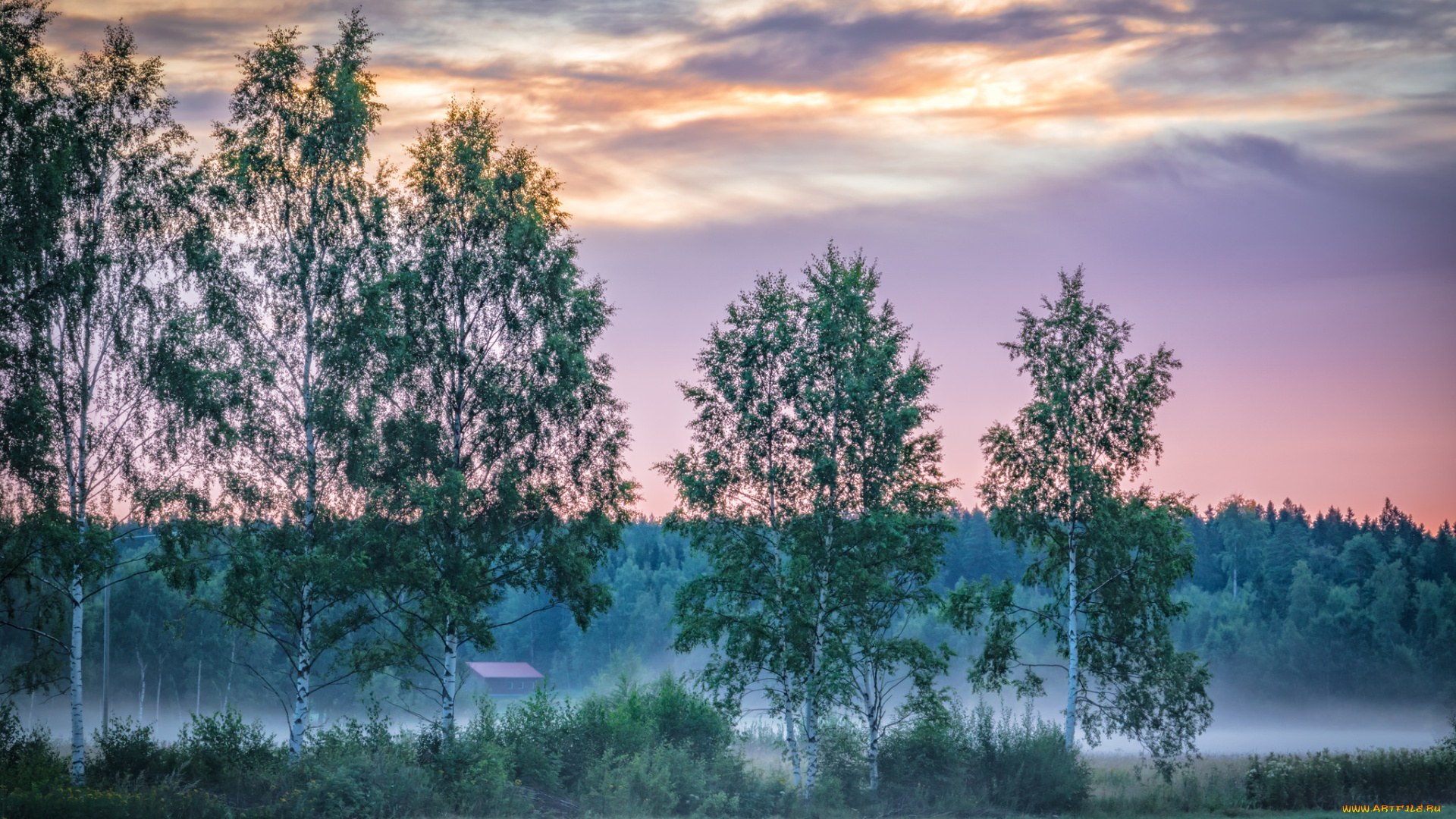 природа, пейзажи, простор