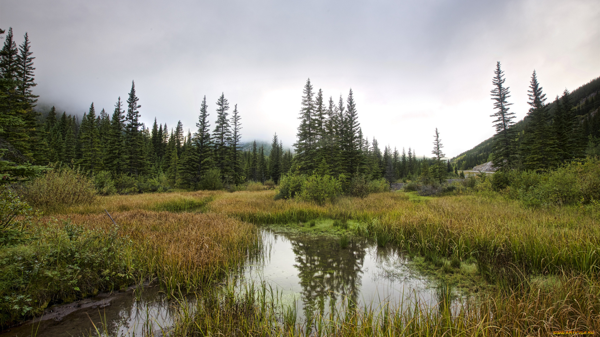 природа, реки, озера, простор