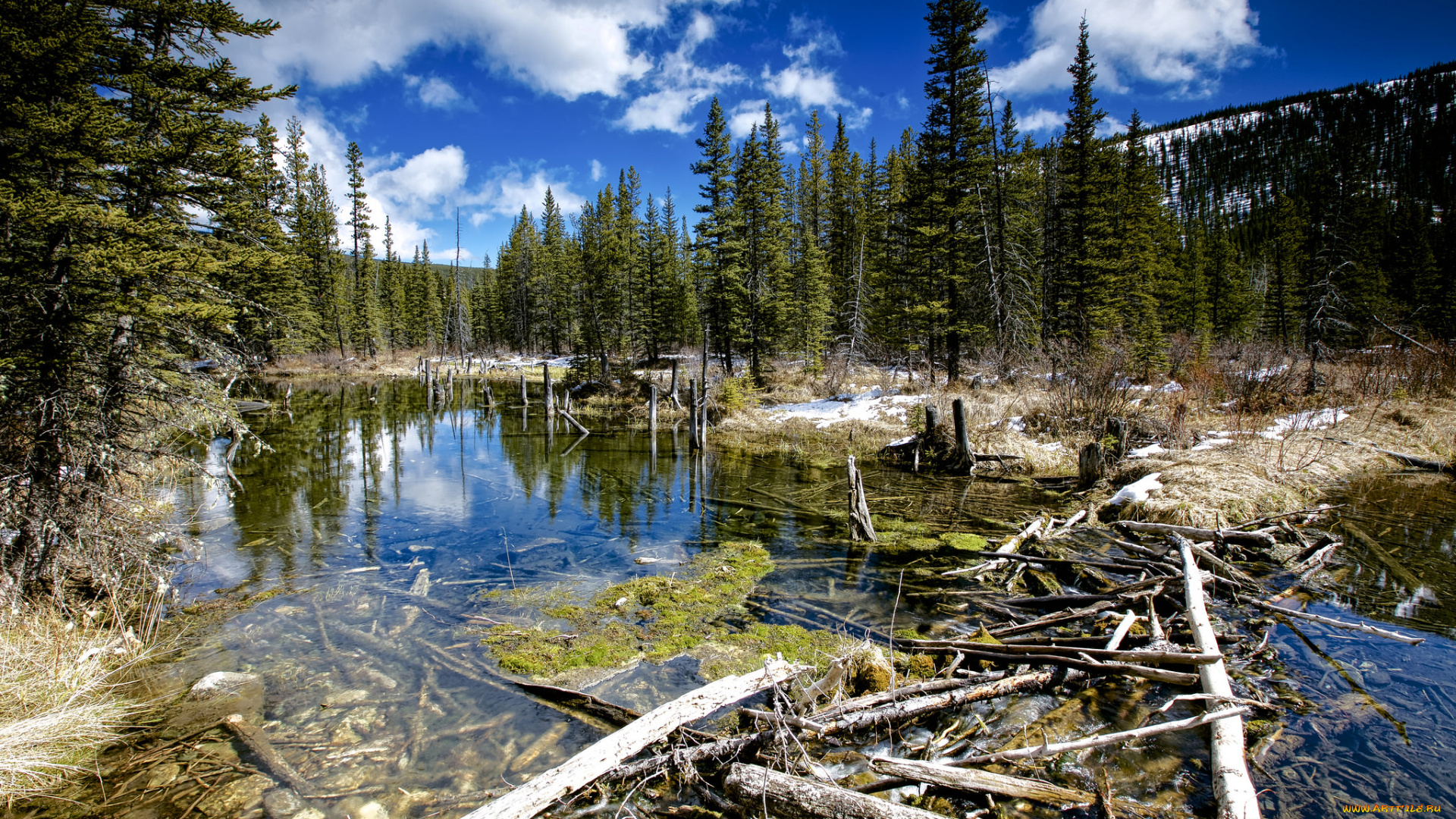 природа, реки, озера, простор