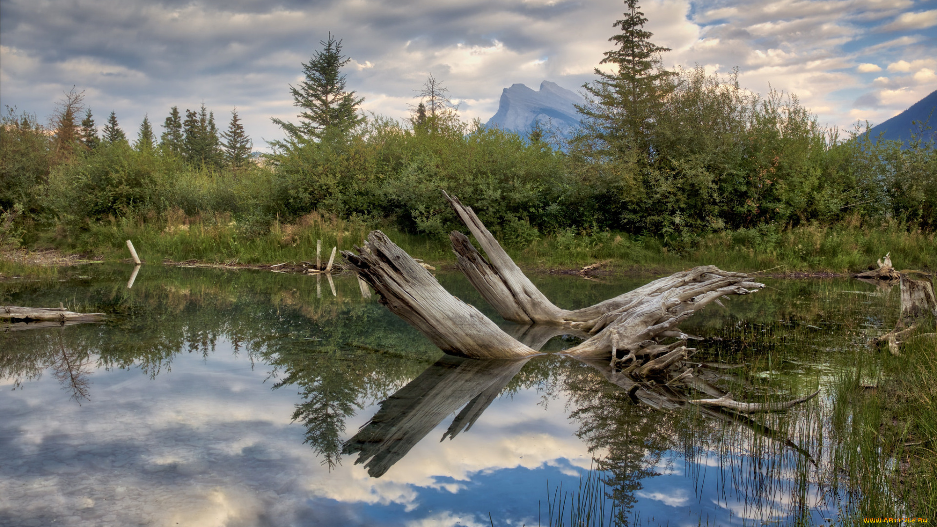 природа, реки, озера, простор