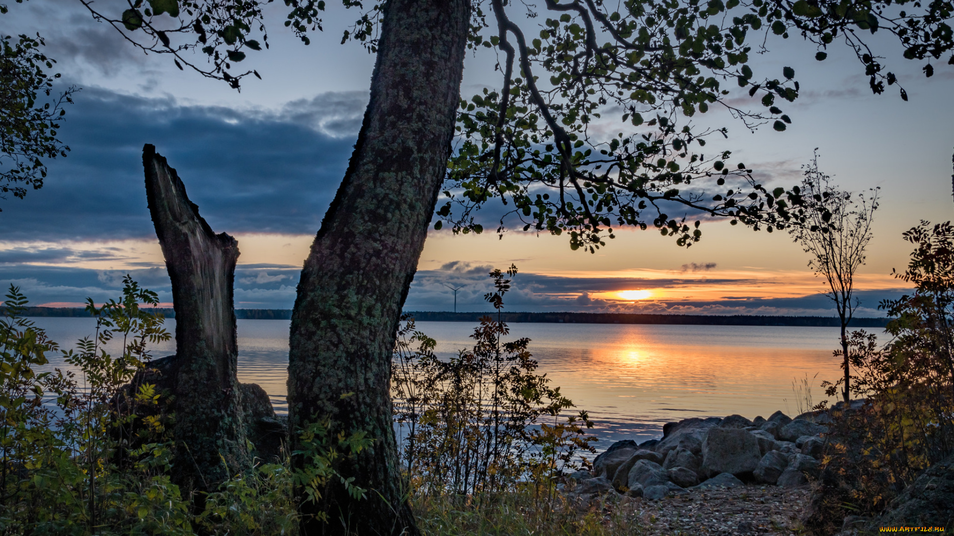 природа, реки, озера, простор