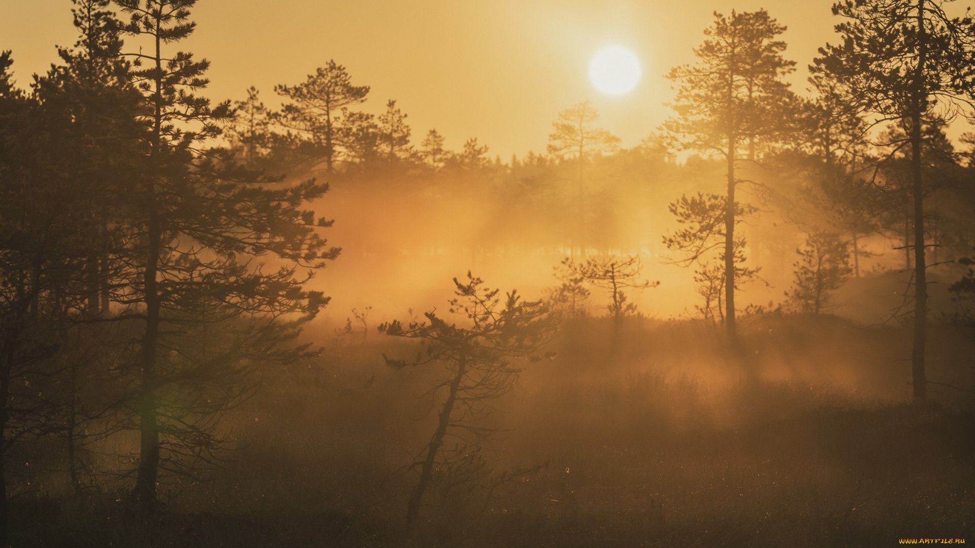 природа, восходы, закаты, простор