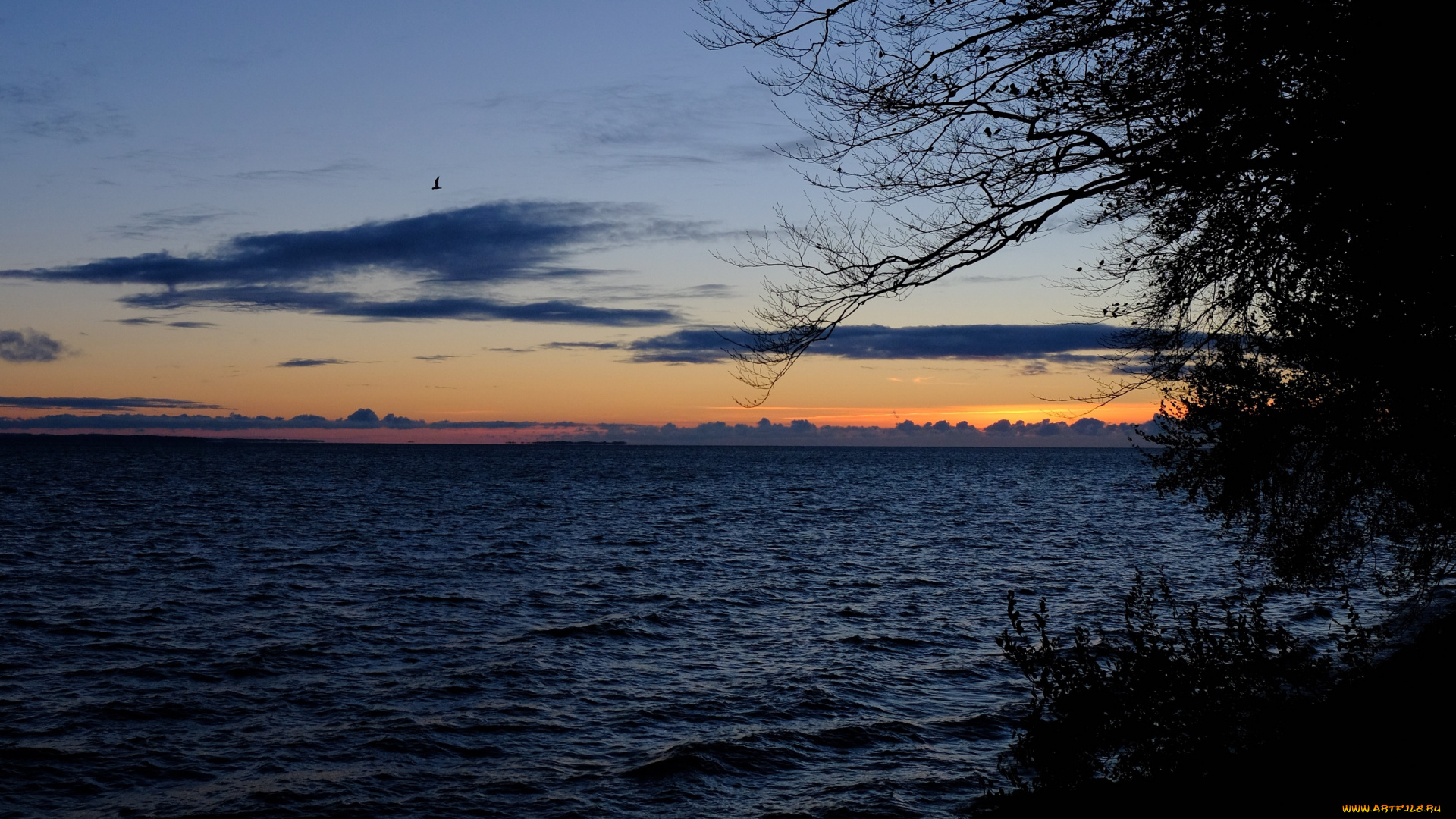 природа, восходы, закаты, закат