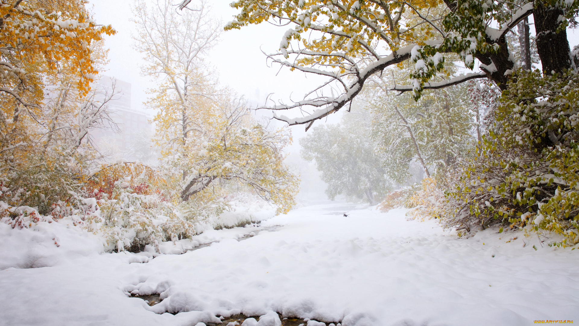 природа, зима, простор