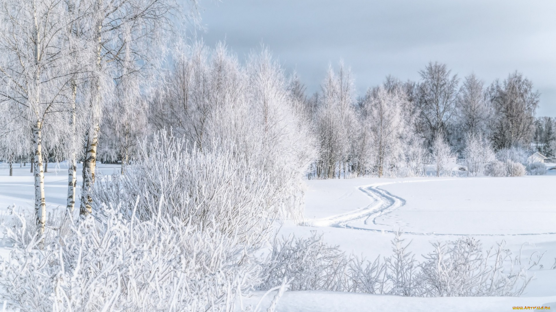 природа, зима, простор