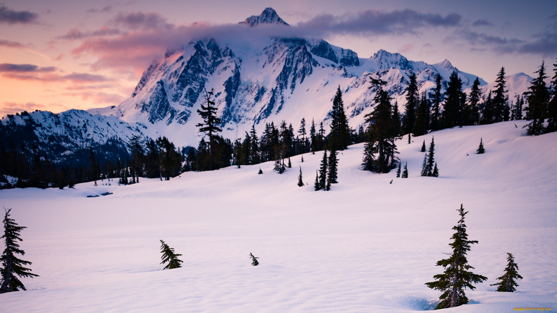 природа, зима, снег