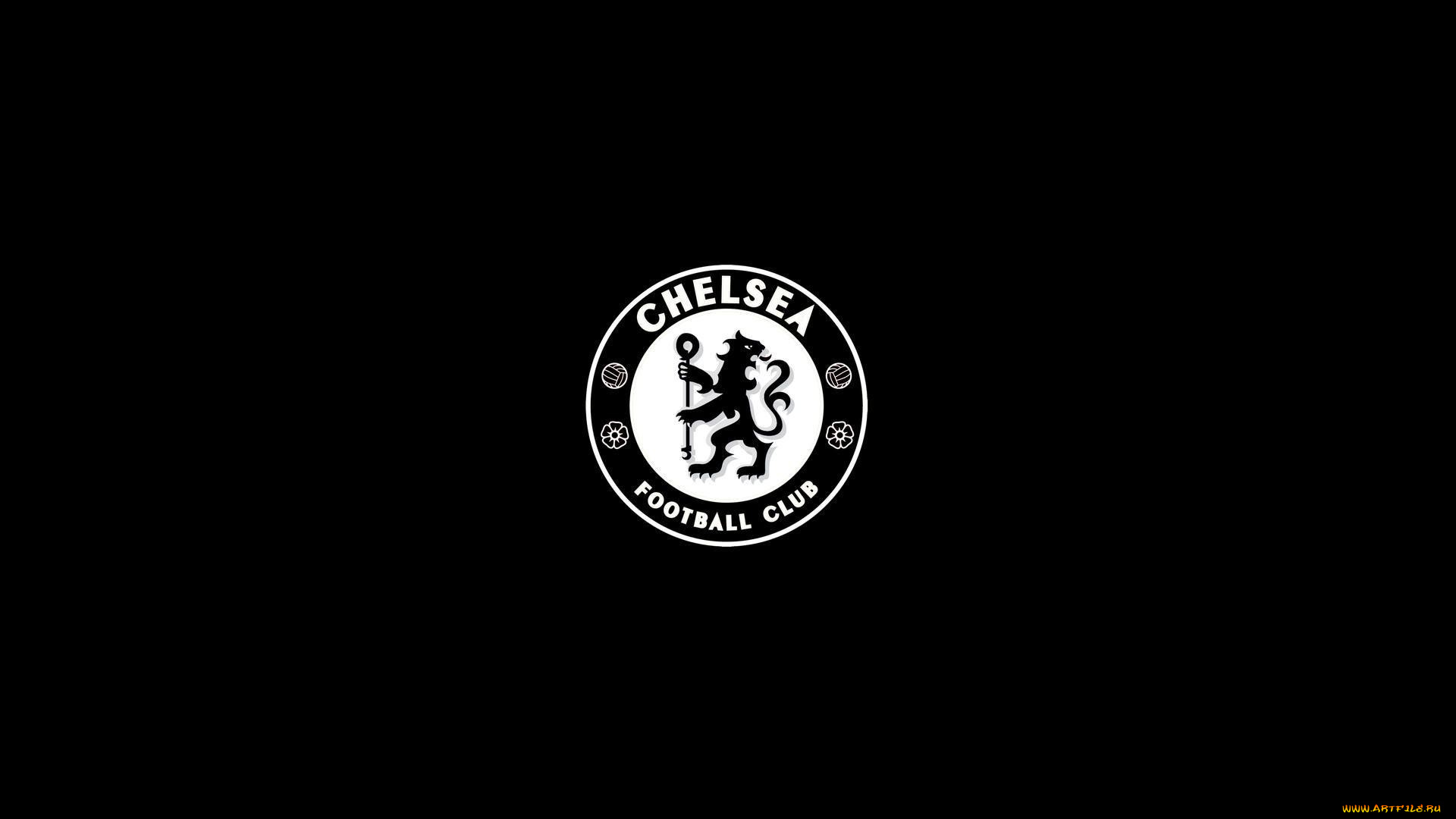 спорт, эмблемы, клубов, логотип, фон