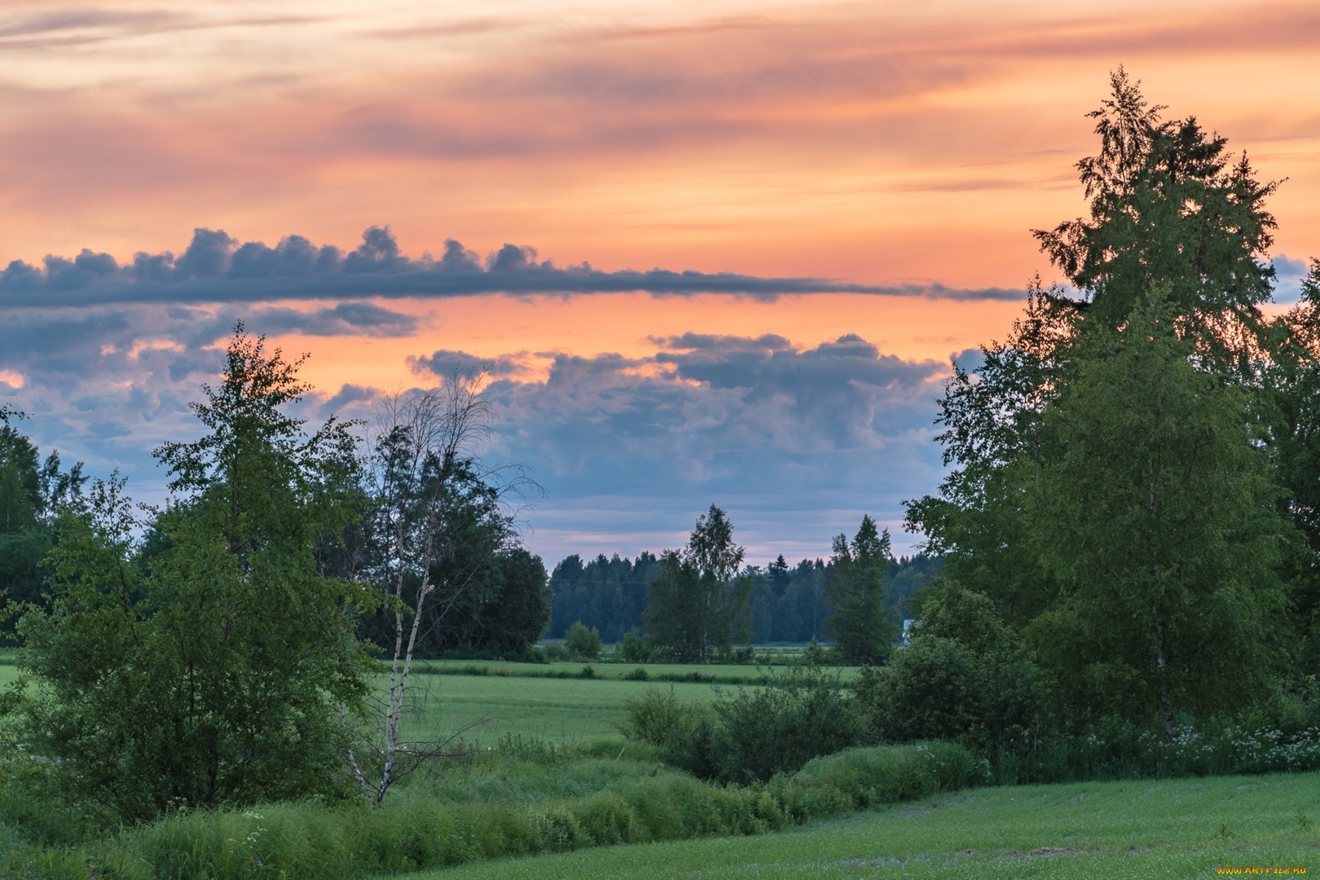 природа, пейзажи, простор
