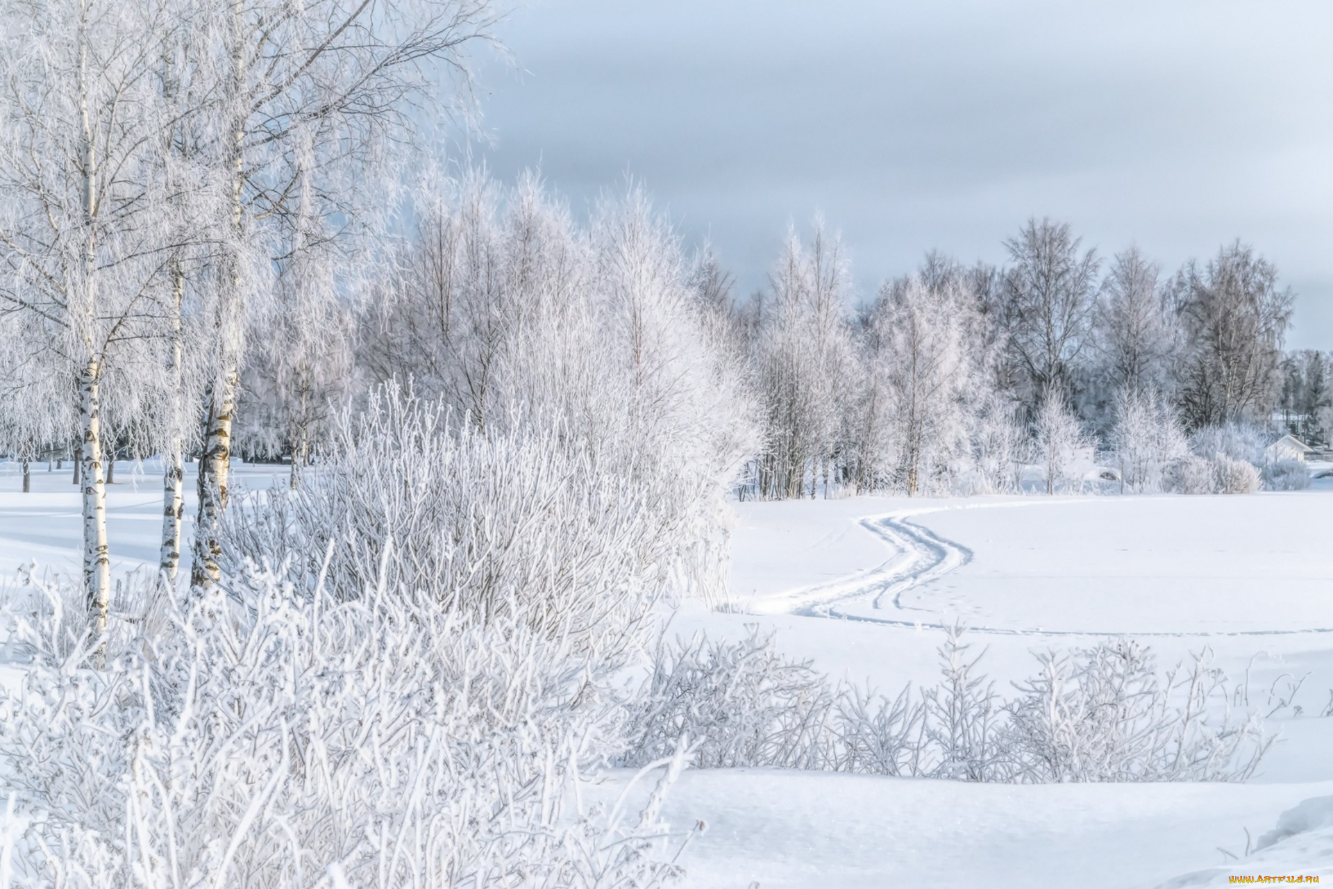 природа, зима, простор