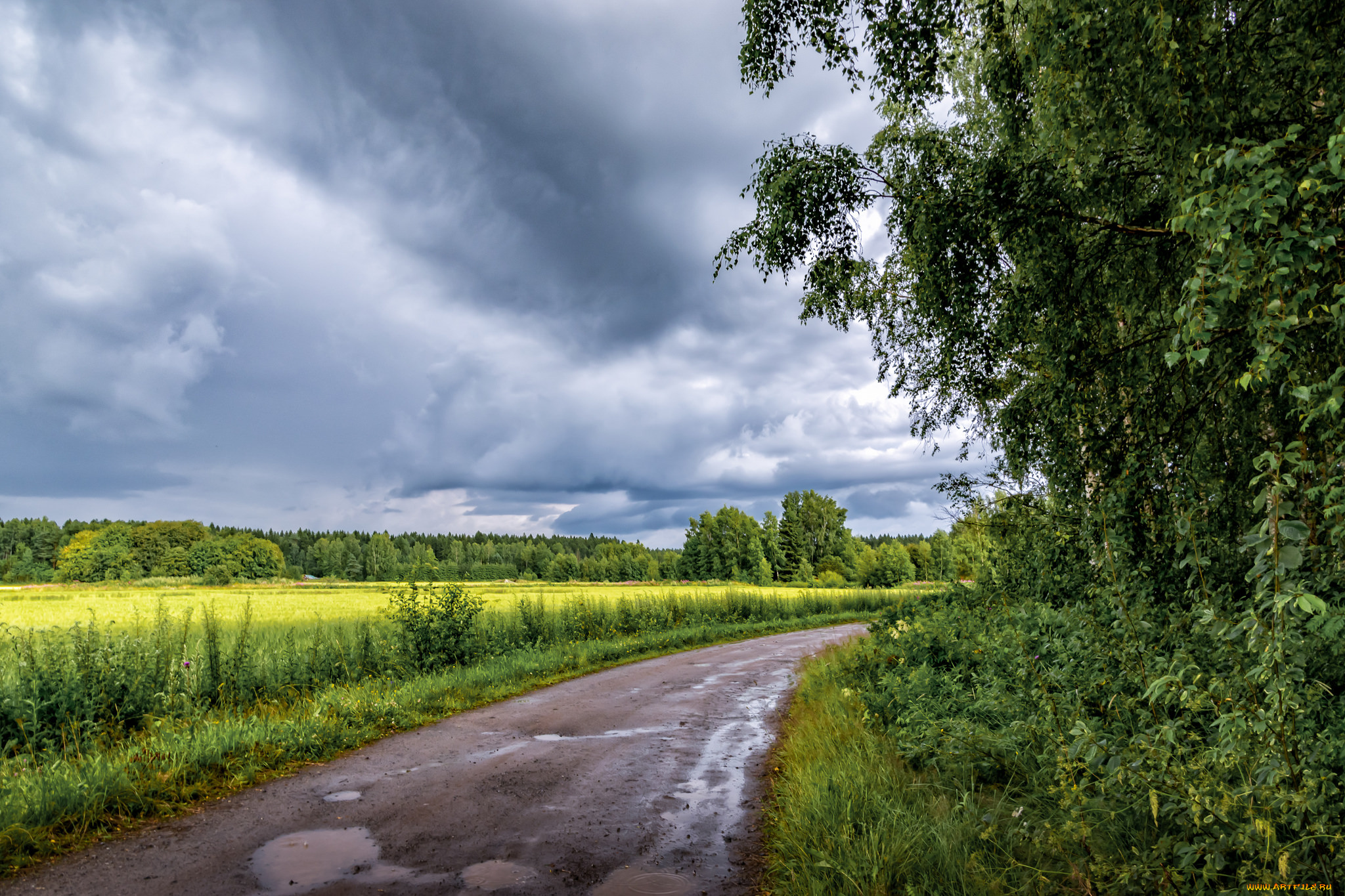 природа, дороги, простор