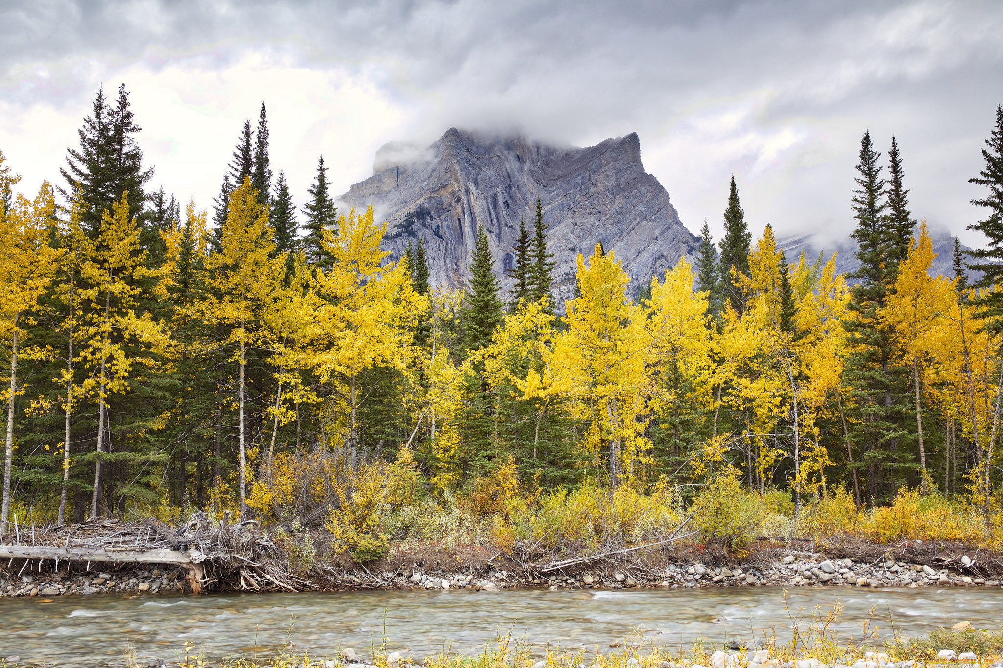 природа, горы, простор