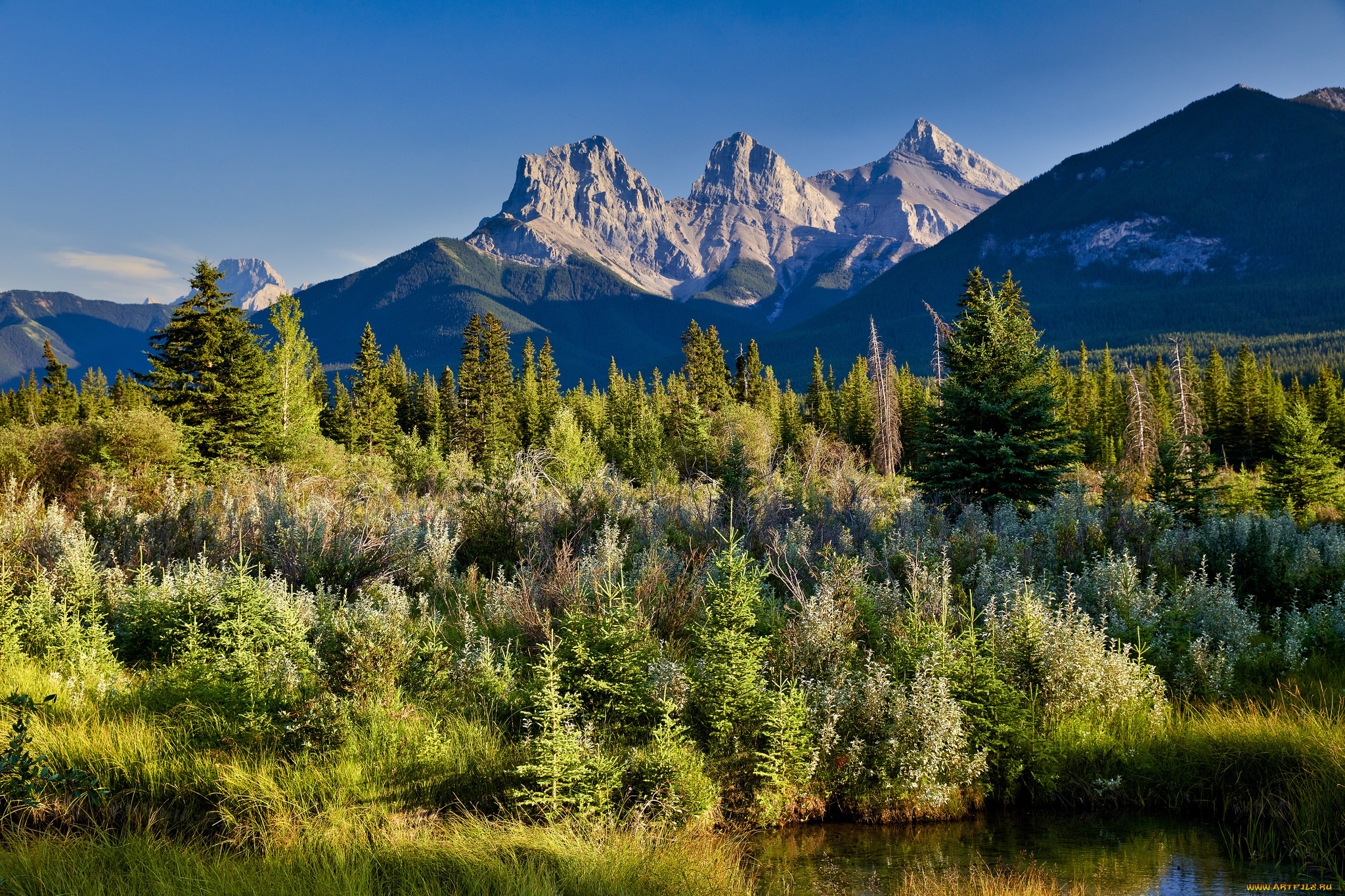 природа, горы, простор